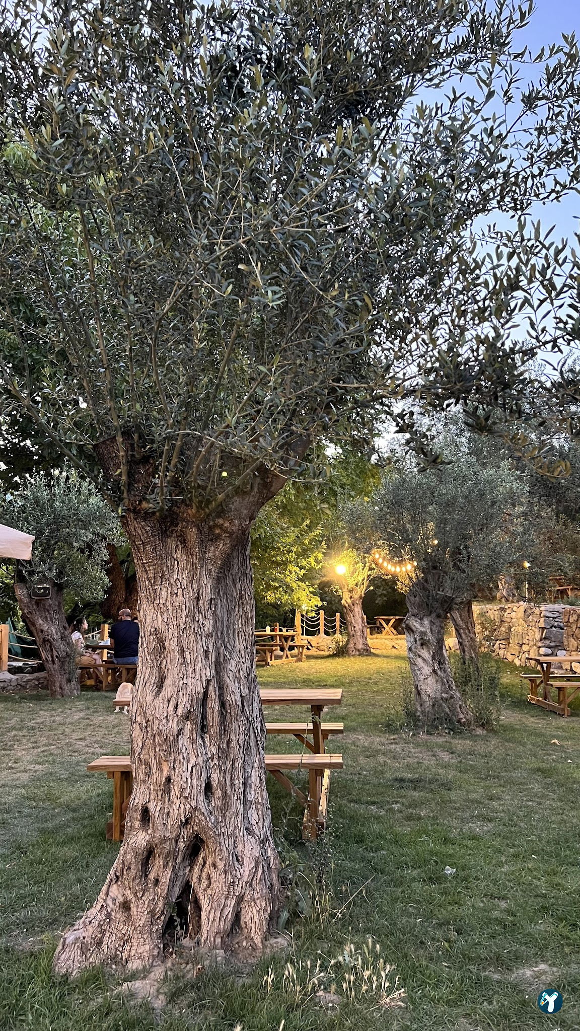 Arsa - Food, Garden & More