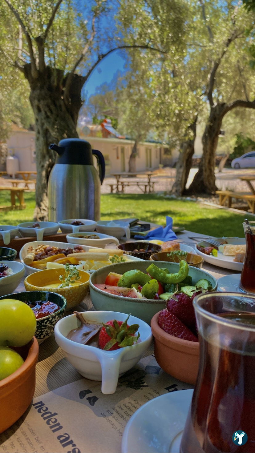 Arsa - Food, Garden & More