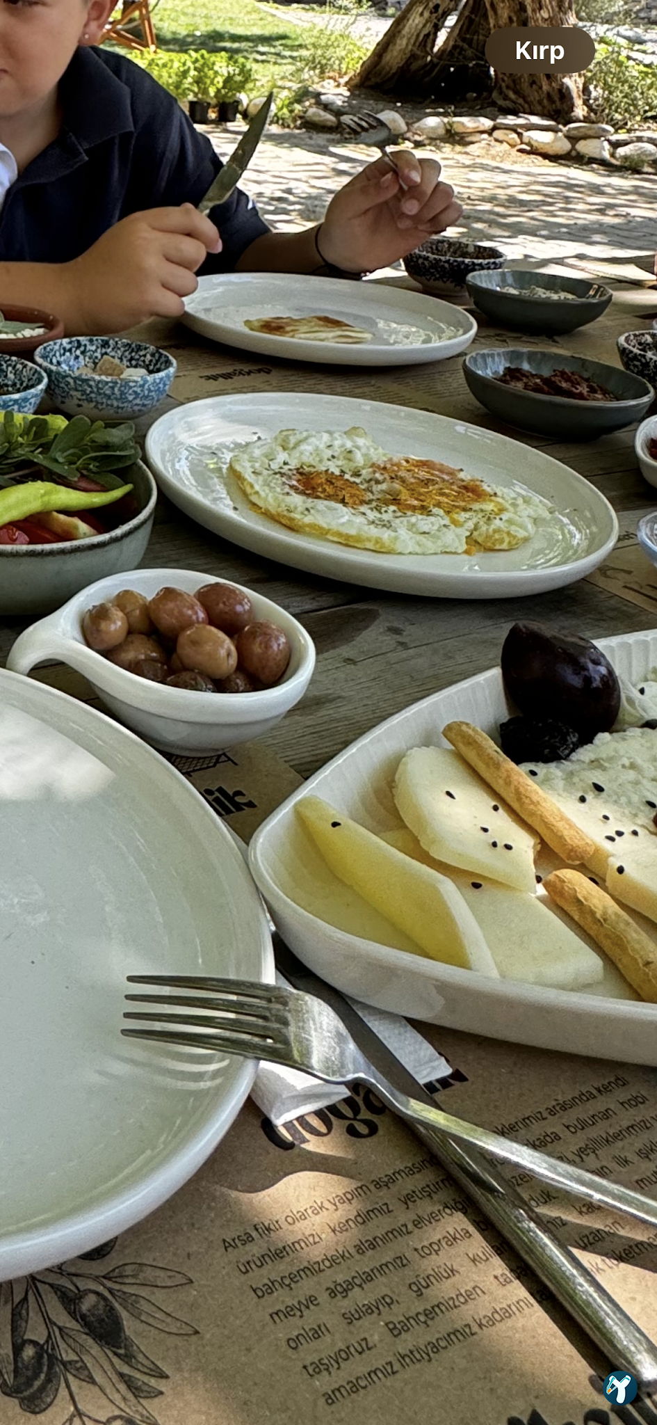 Arsa - Food, Garden & More