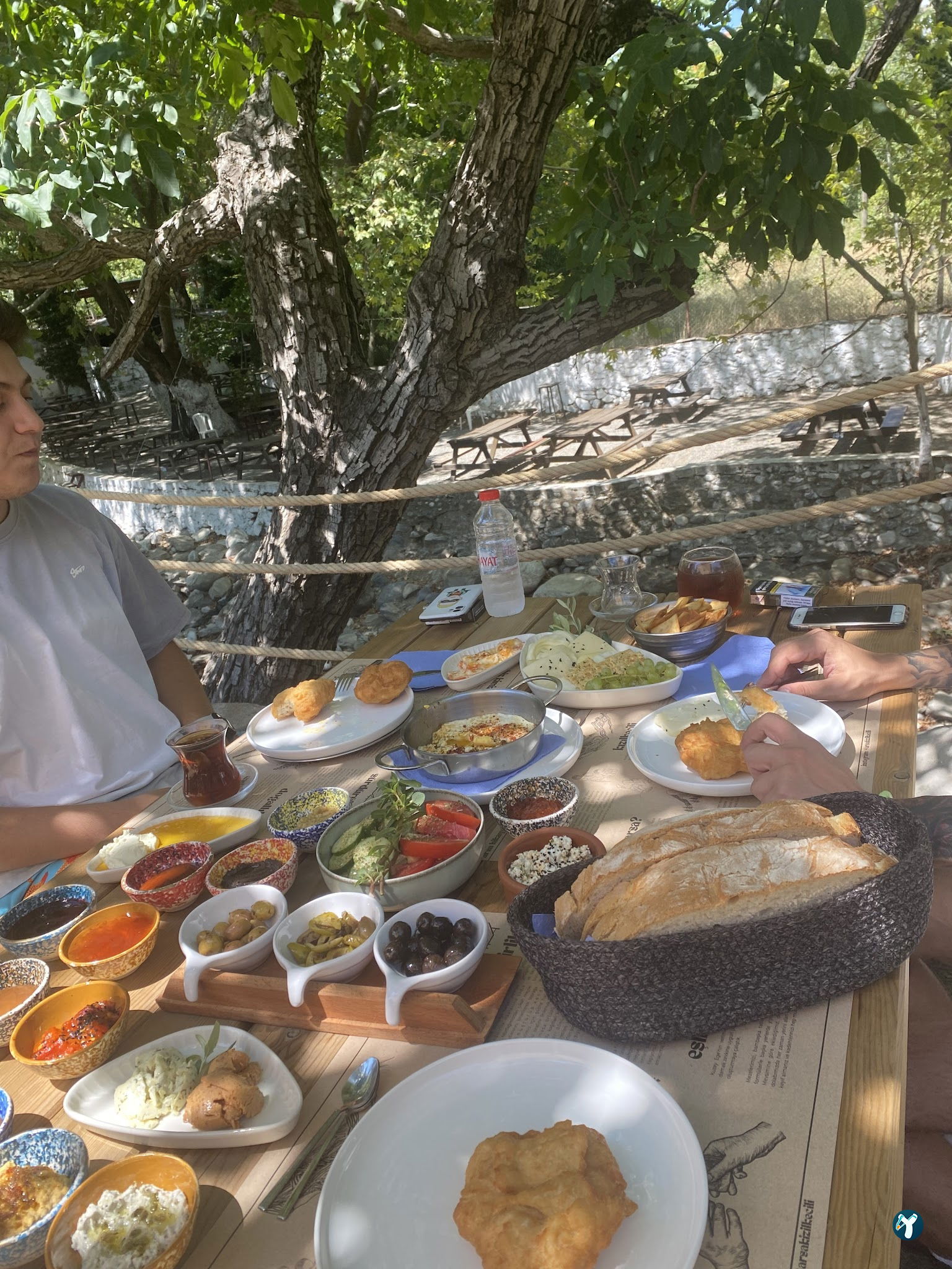 Arsa - Food, Garden & More