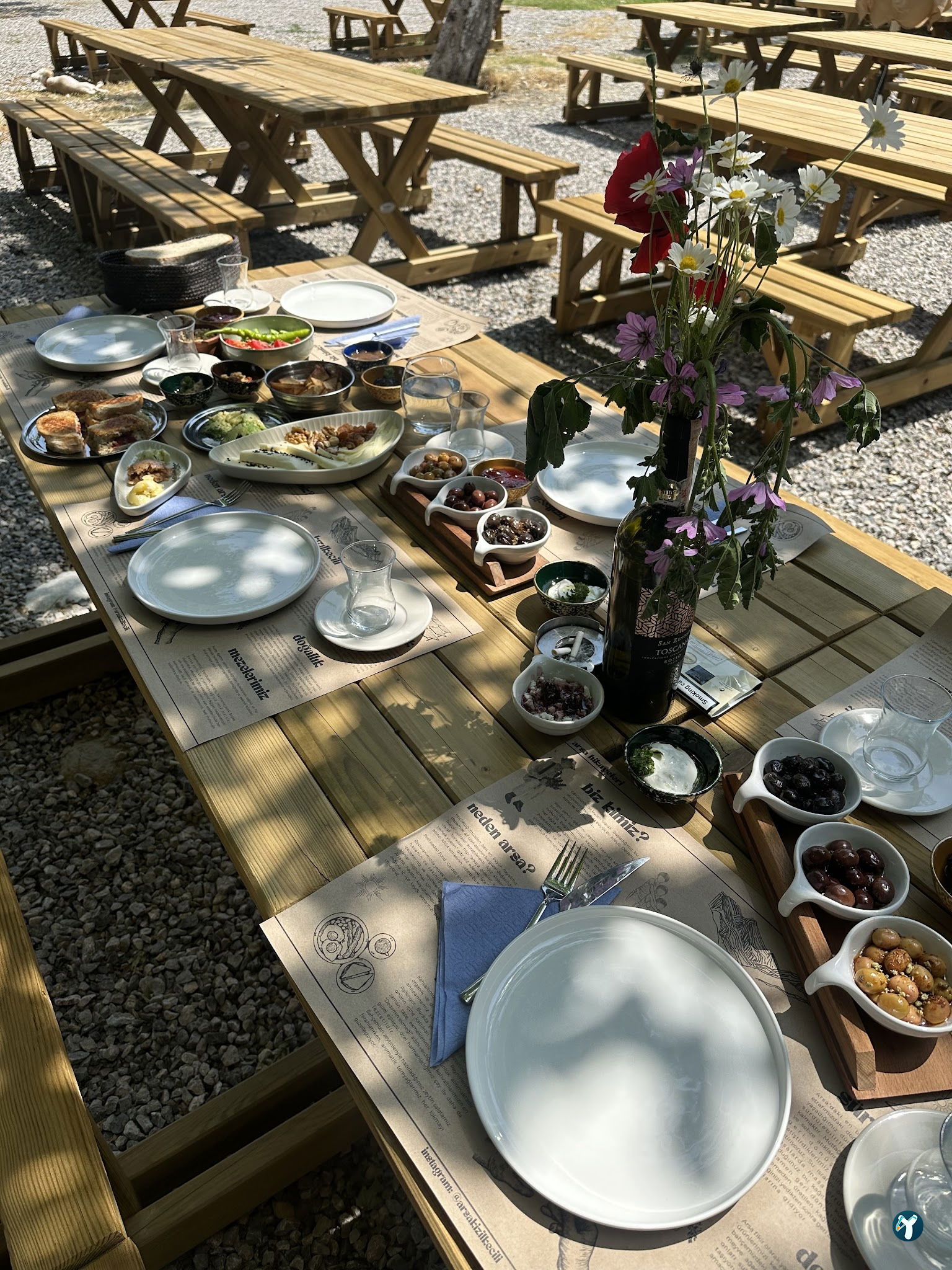 Arsa - Food, Garden & More