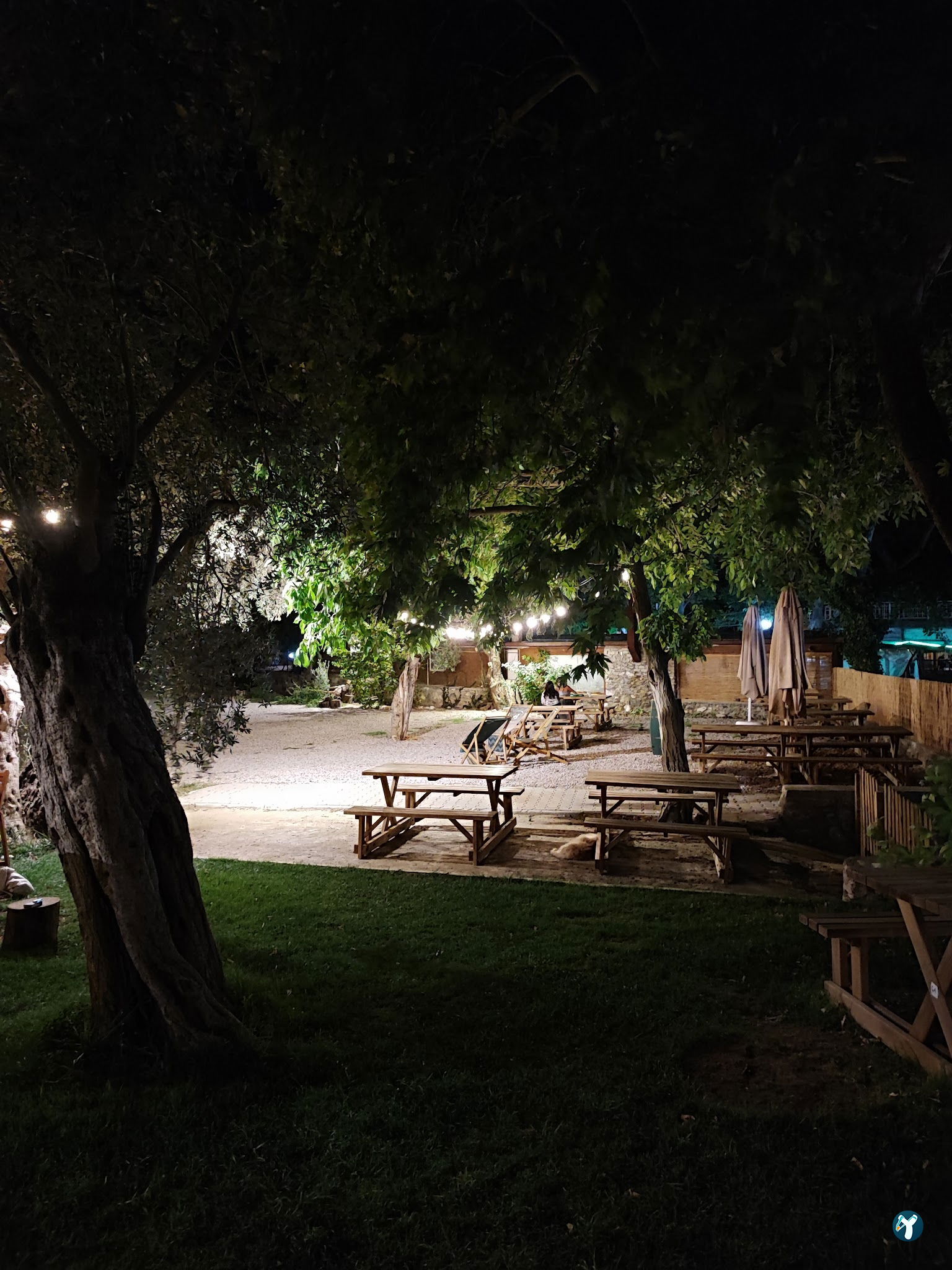 Arsa - Food, Garden & More