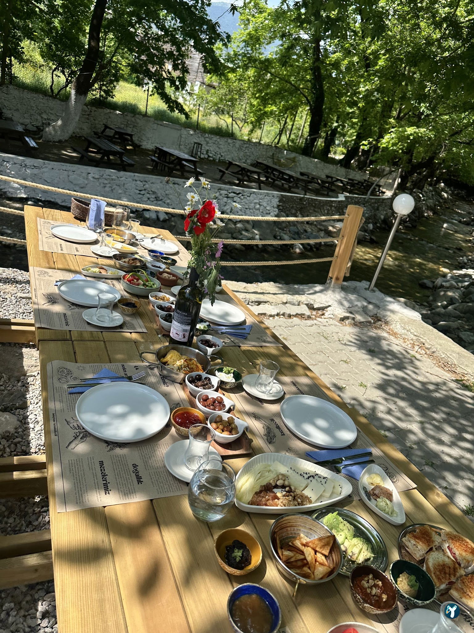 Arsa - Food, Garden & More
