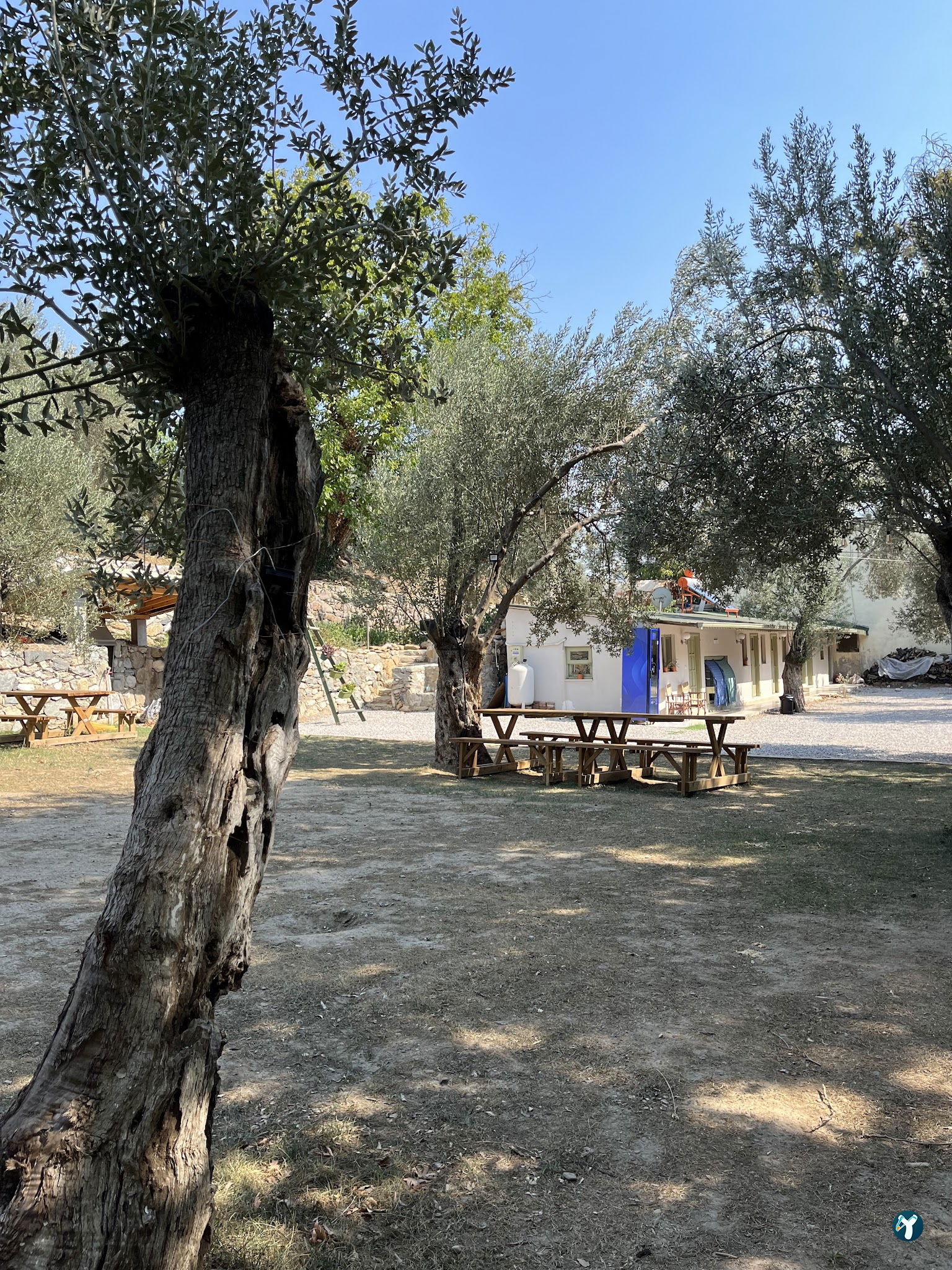 Arsa - Food, Garden & More