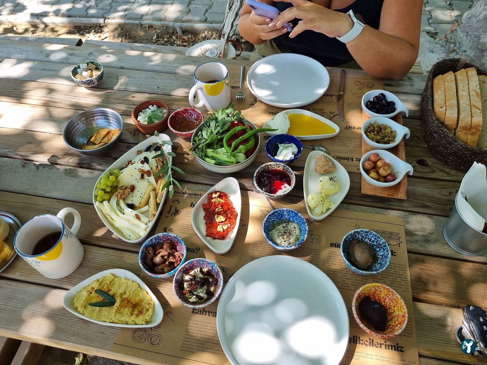 Arsa - Food, Garden & More