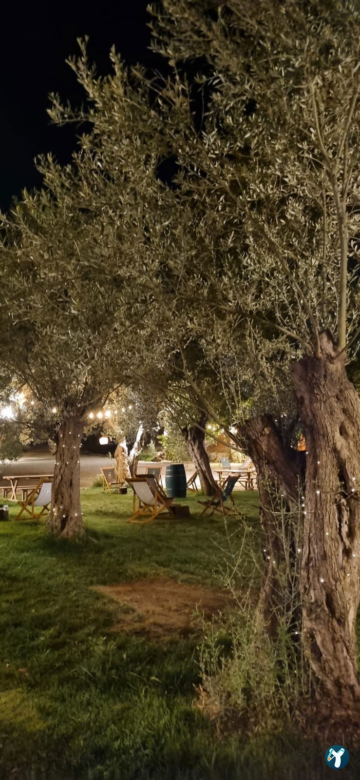 Arsa - Food, Garden & More