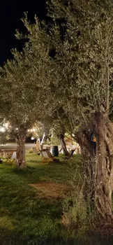 Arsa - Food, Garden & More resimleri