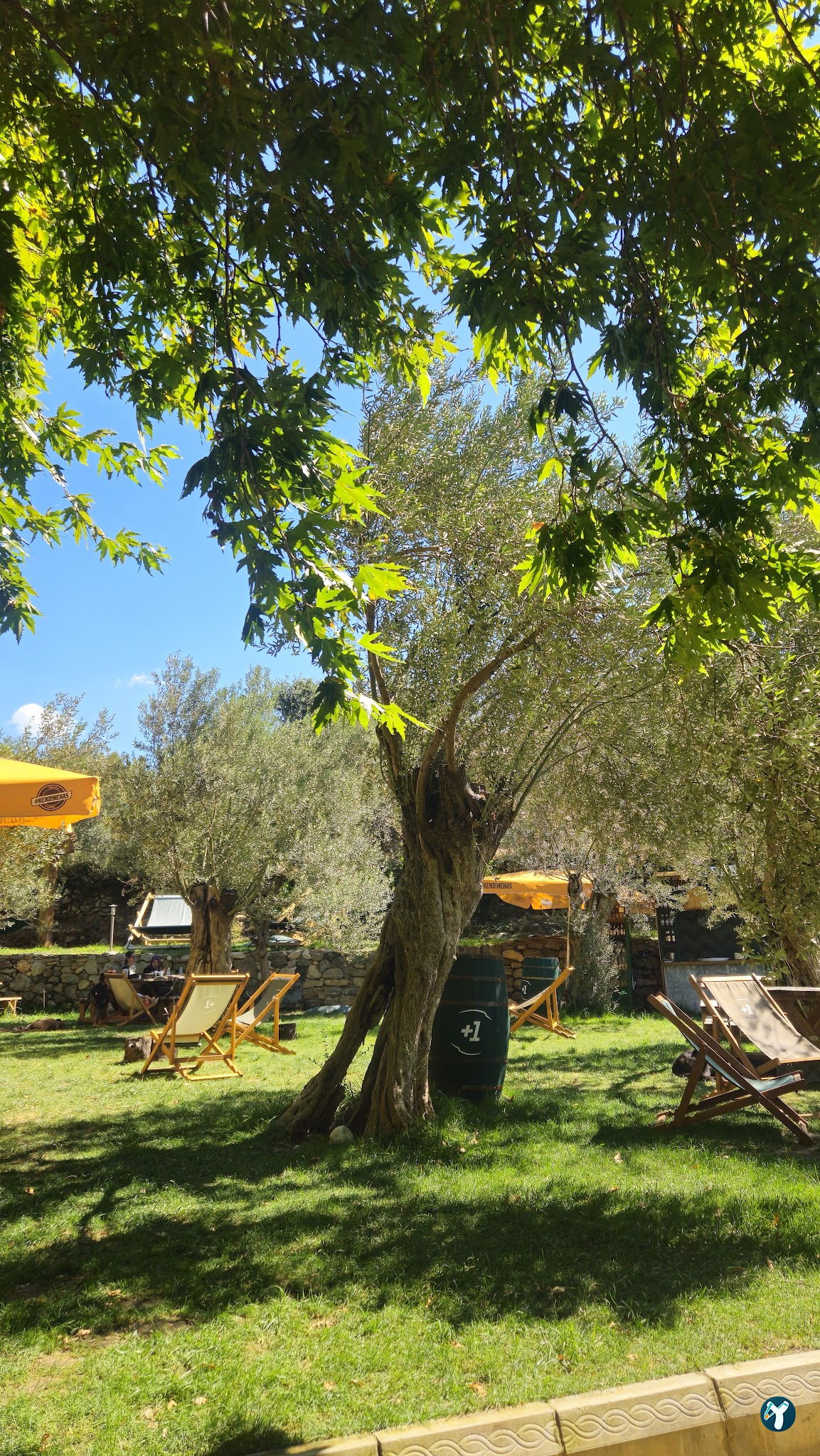 Arsa - Food, Garden & More