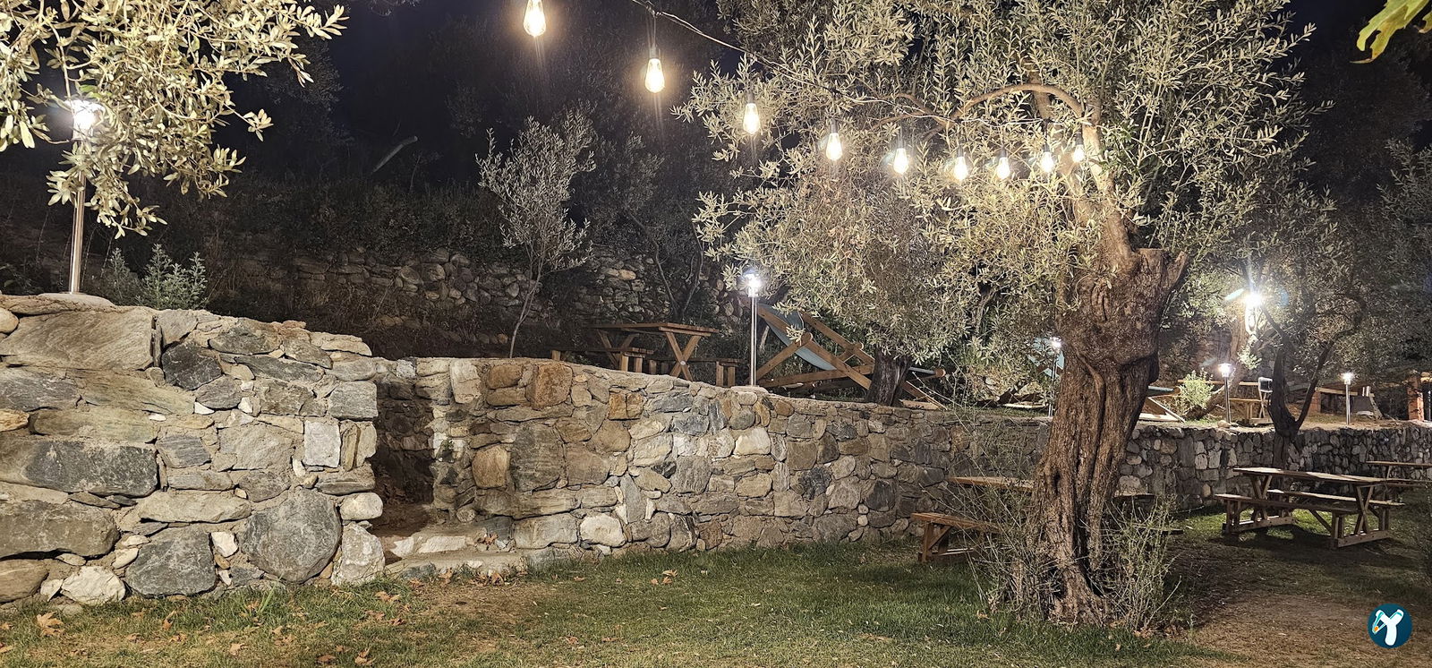 Arsa - Food, Garden & More