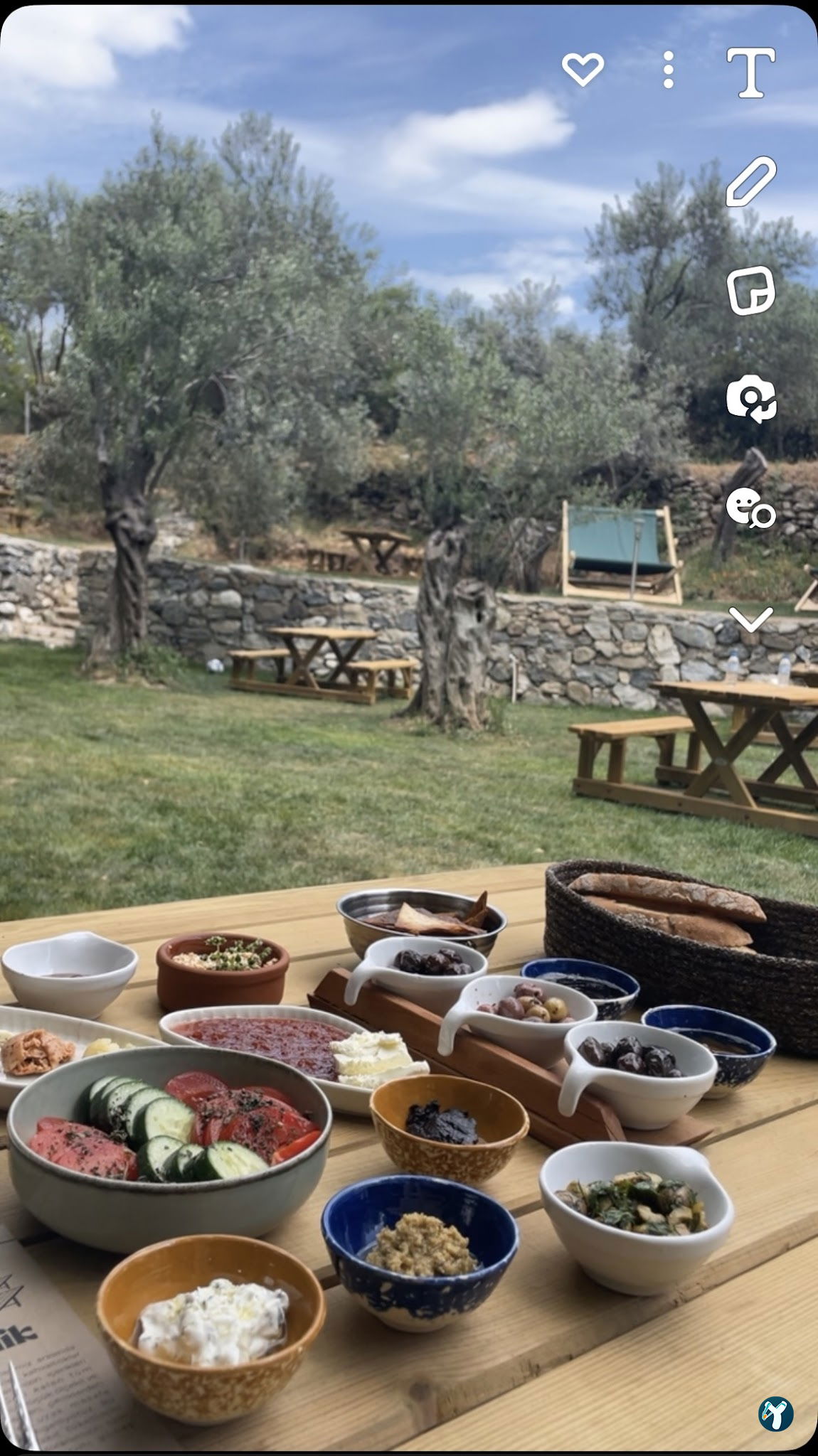 Arsa - Food, Garden & More