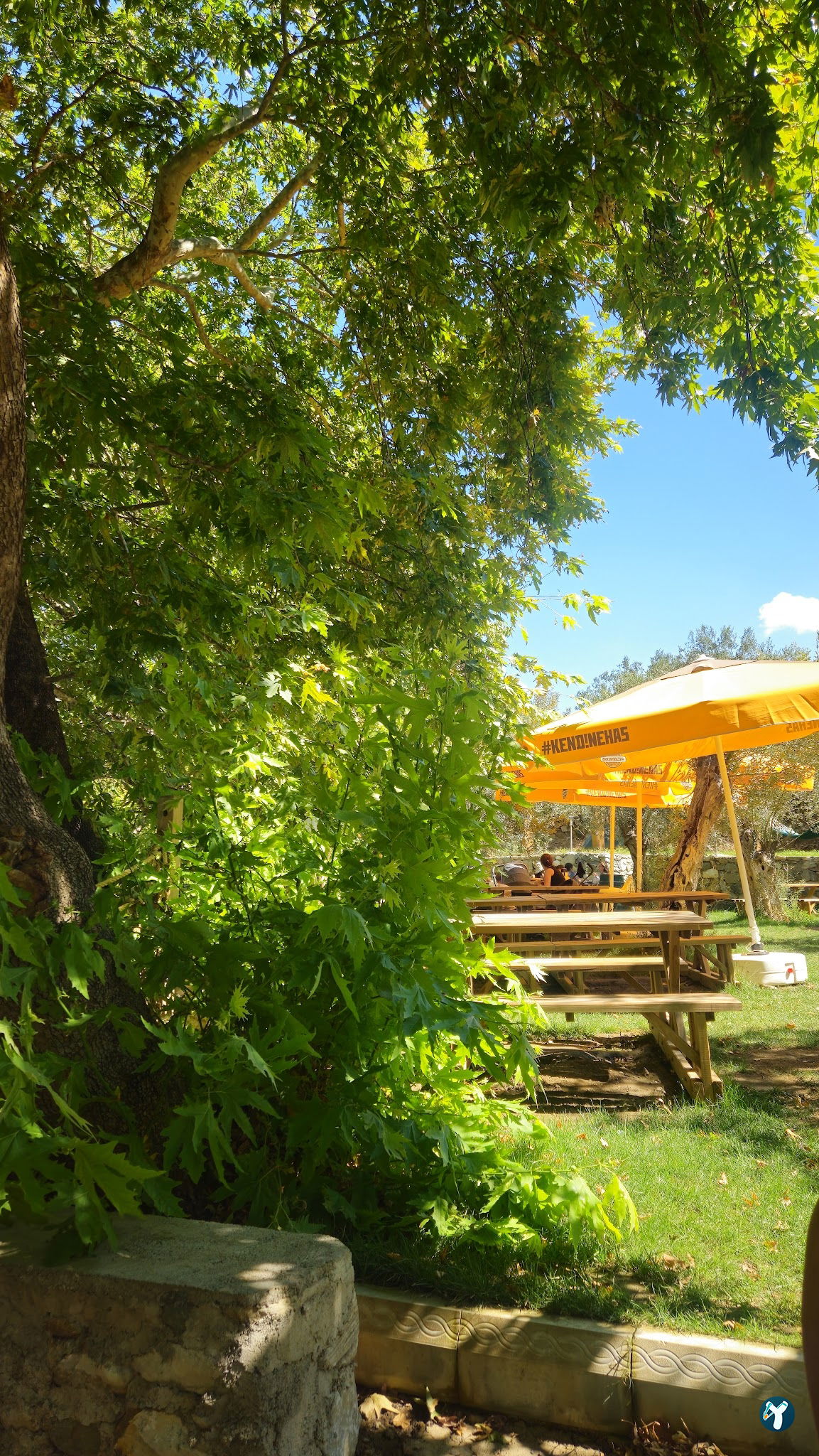 Arsa - Food, Garden & More