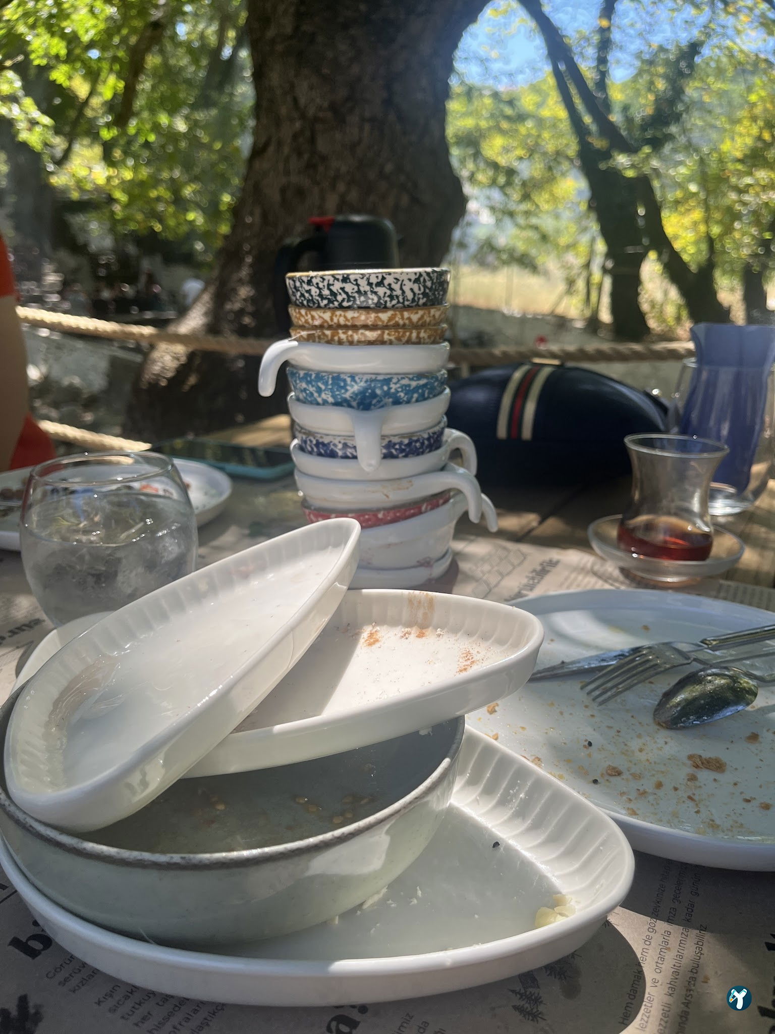 Arsa - Food, Garden & More