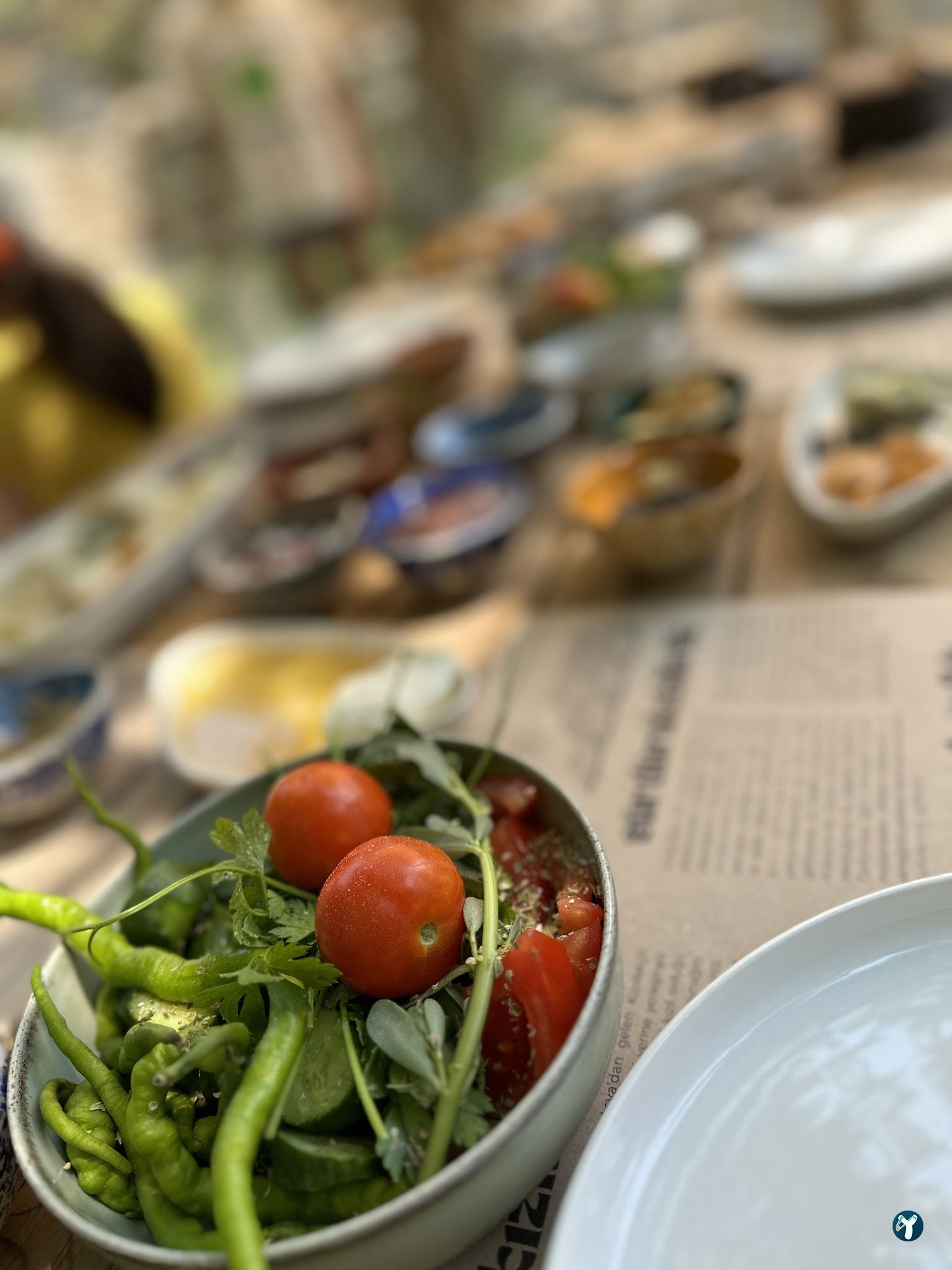 Arsa - Food, Garden & More