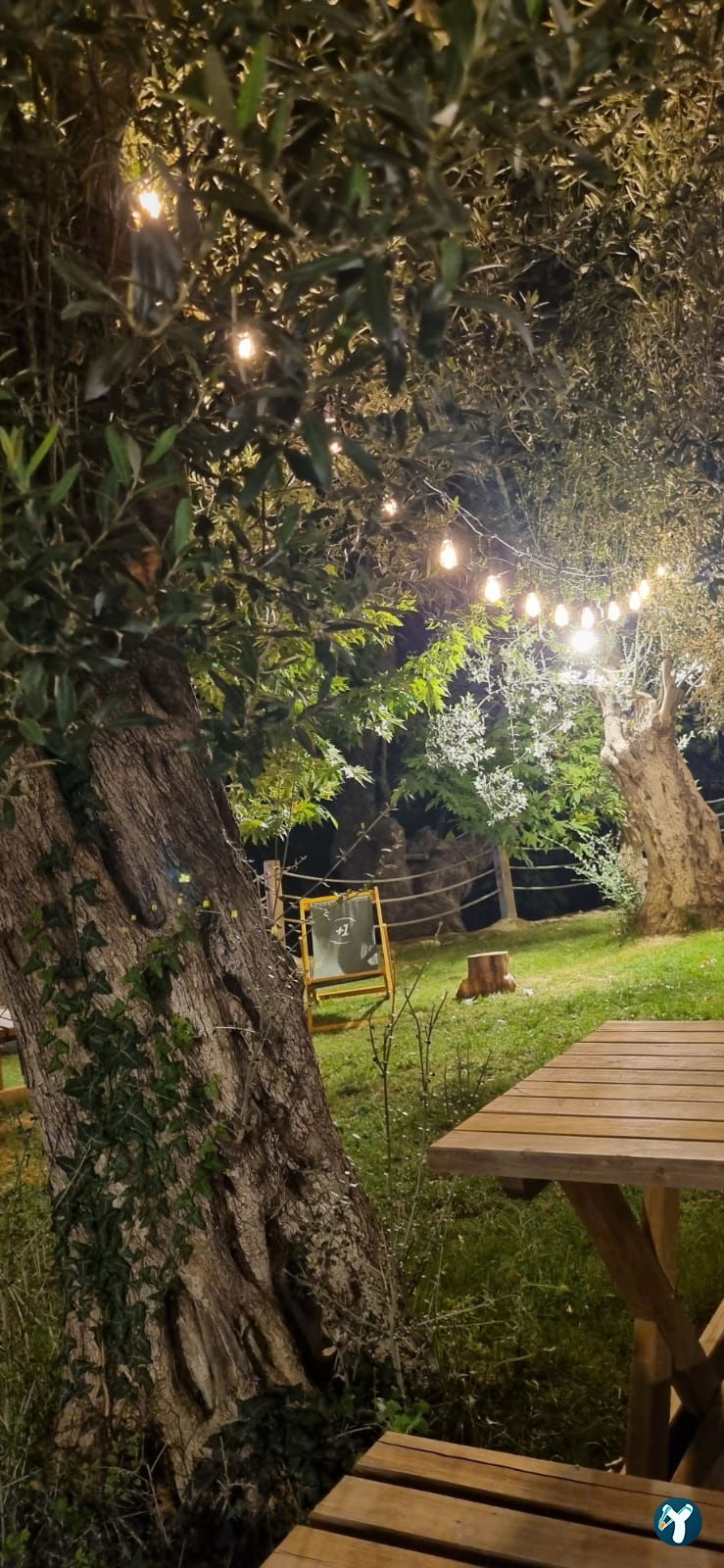 Arsa - Food, Garden & More