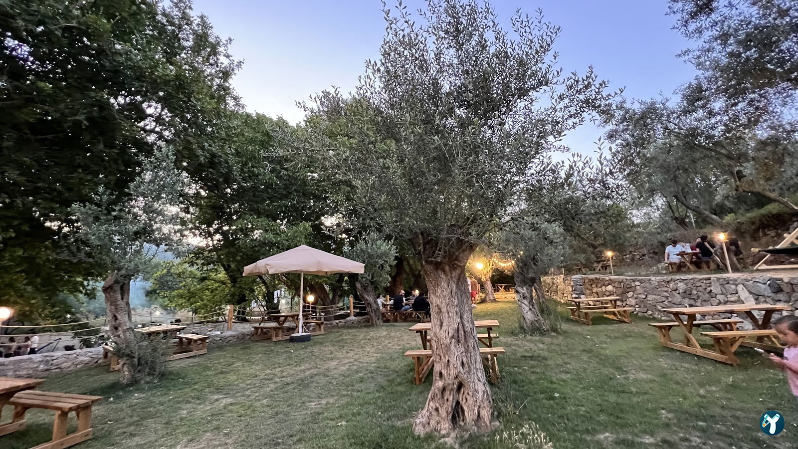 Arsa - Food, Garden & More