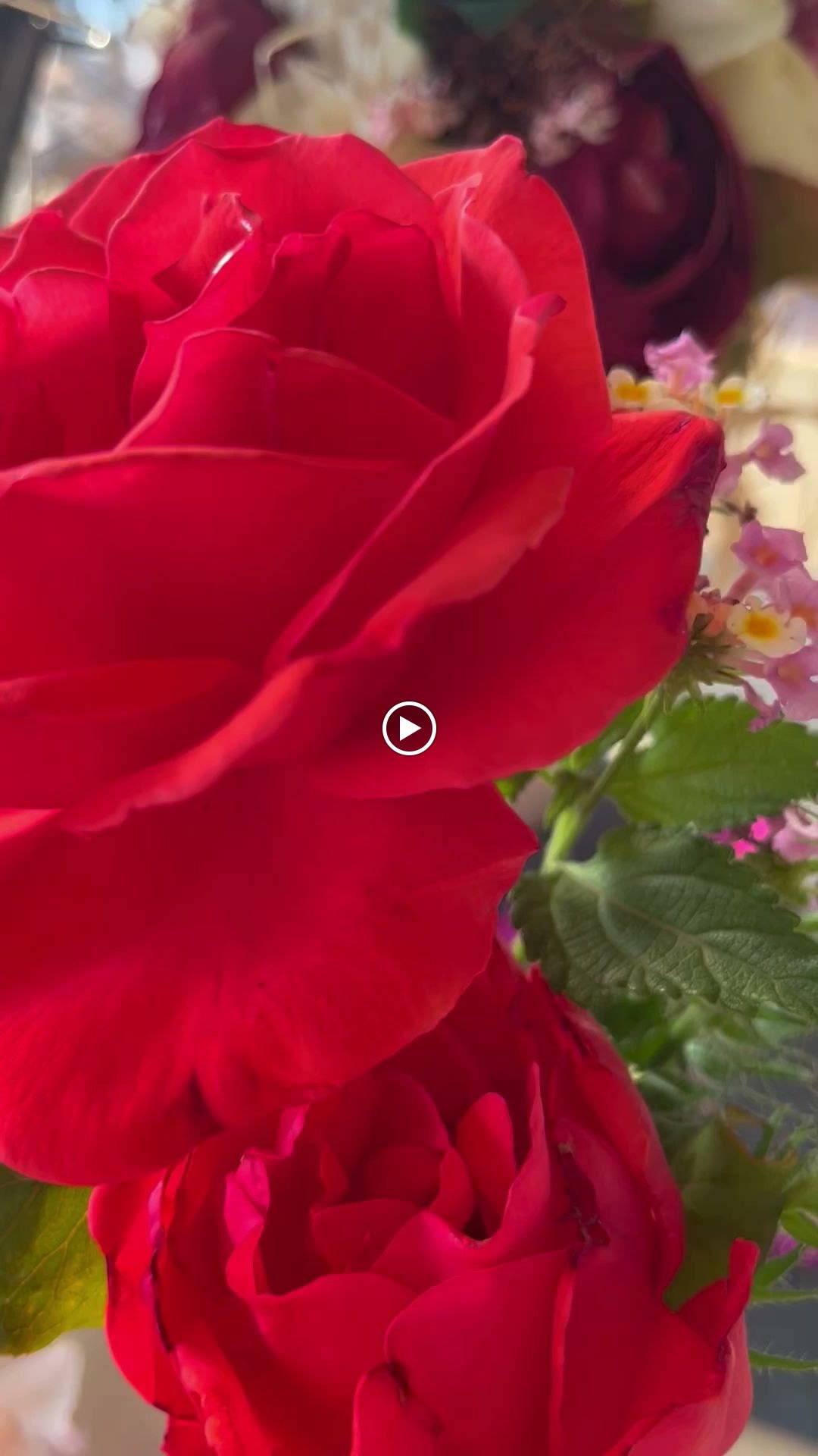 Stone Grill Steakhouse Mediterranean Tapas