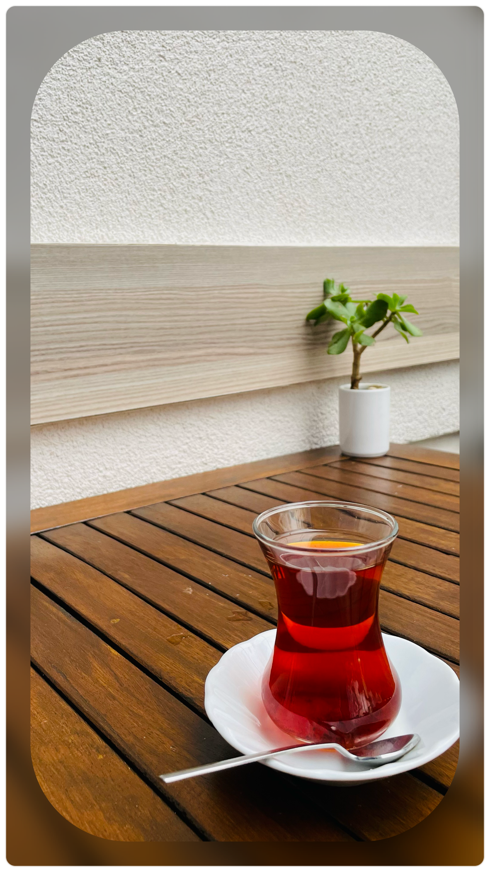 Engelsiz Cafe - Yalova