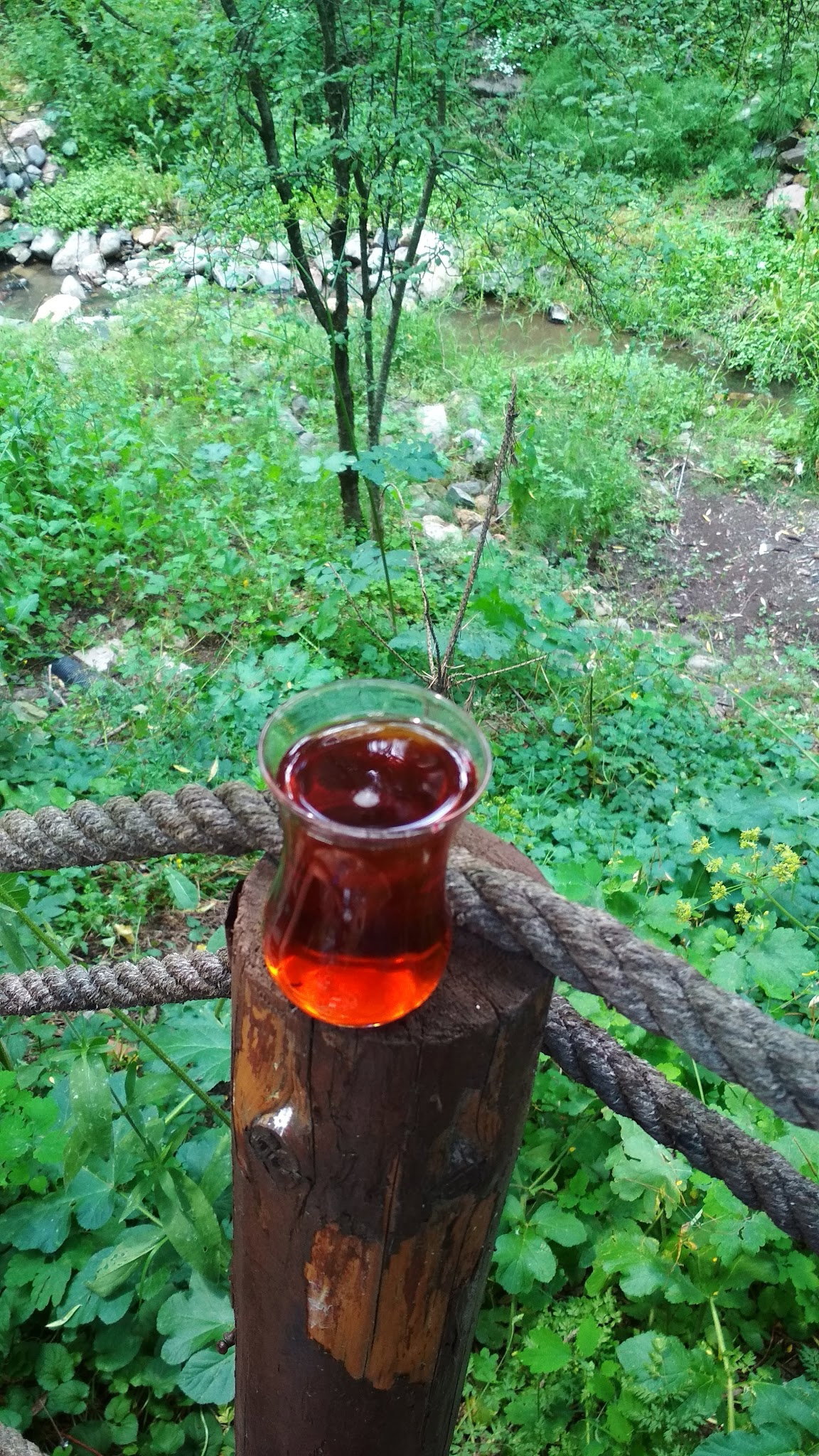 Şahin Restoran