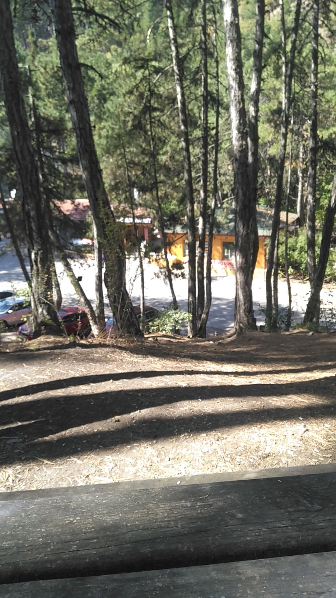Şahin Restoran