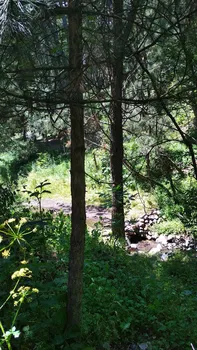 Şahin Restoran resimleri