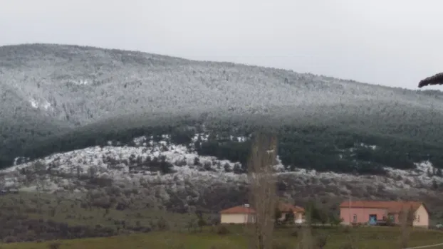 Çınar Simit Cafe resimleri