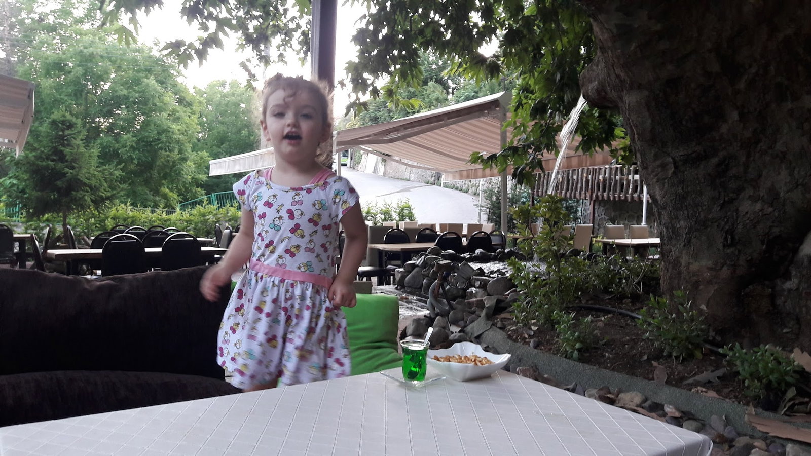 Çınaraltı Cafe