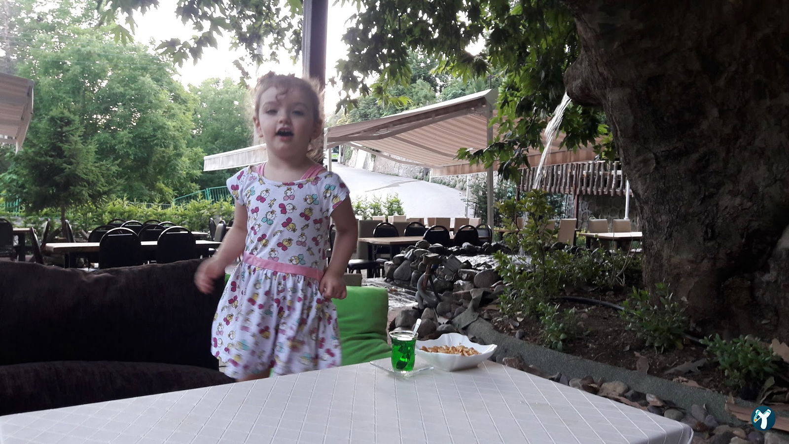Çınaraltı Cafe