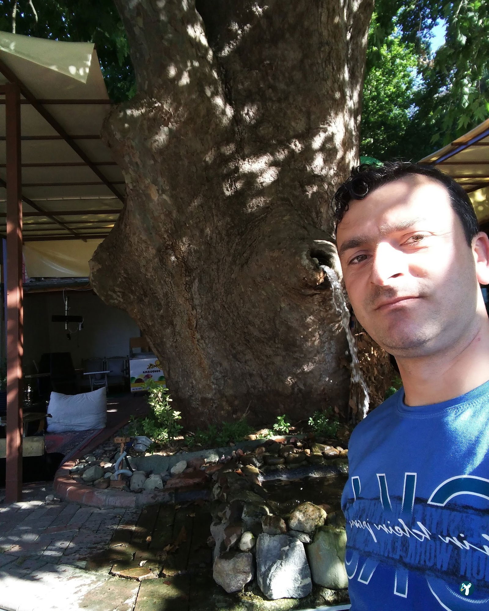 Çınaraltı Cafe