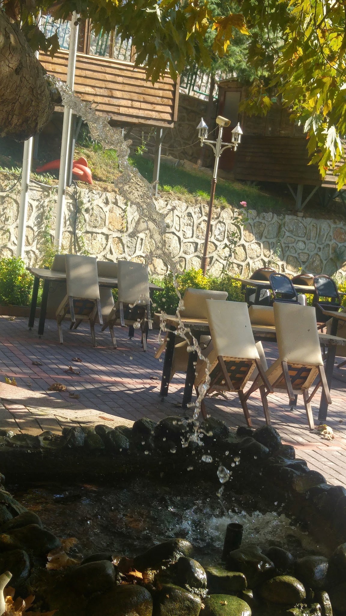 Çınaraltı Cafe