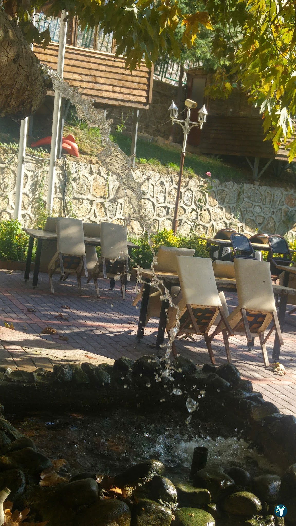 Çınaraltı Cafe