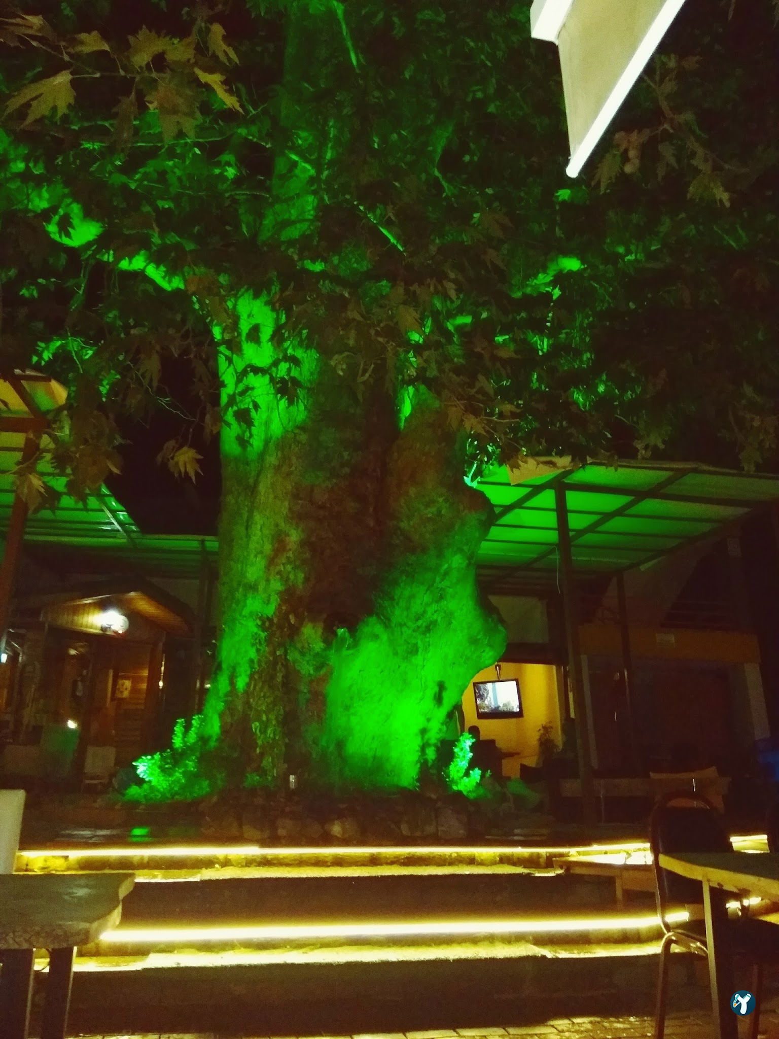 Çınaraltı Cafe