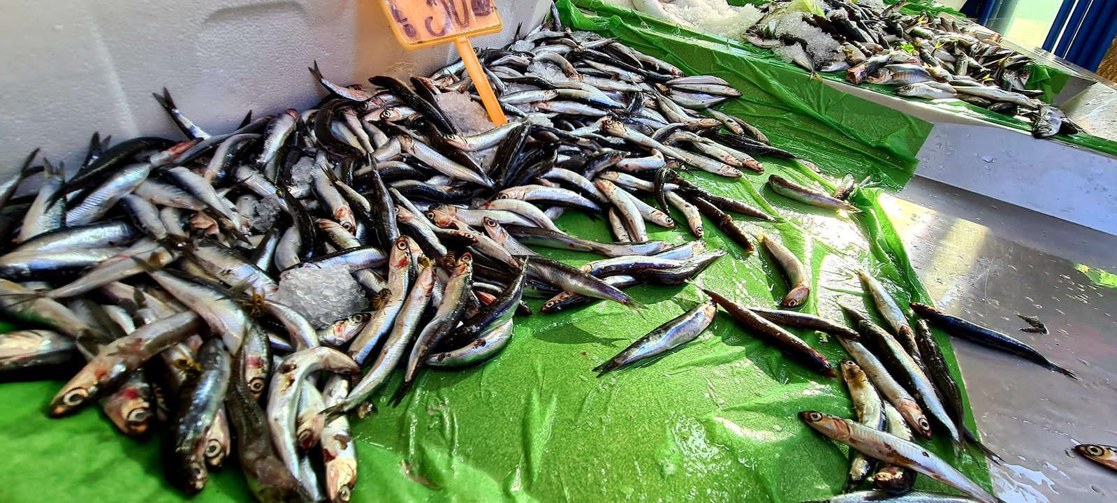 Ayabakan Balikçilik Ve Pişirme Evi
