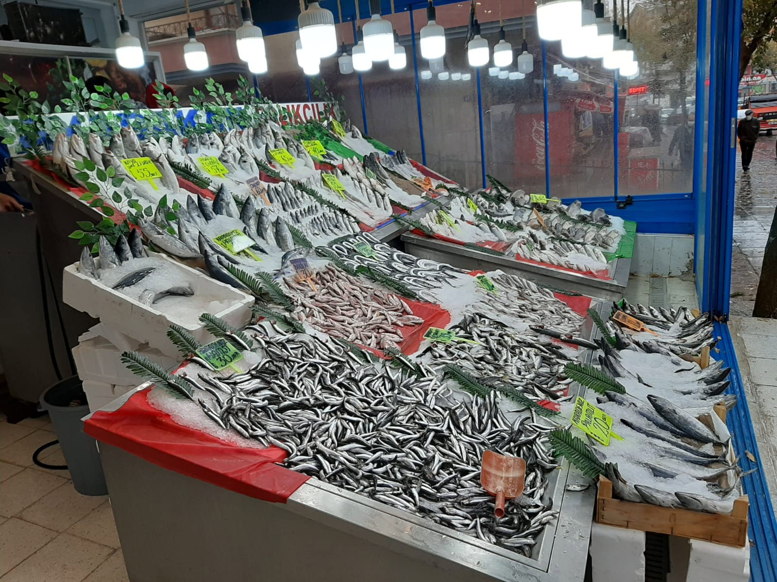Ayabakan Balikçilik Ve Pişirme Evi