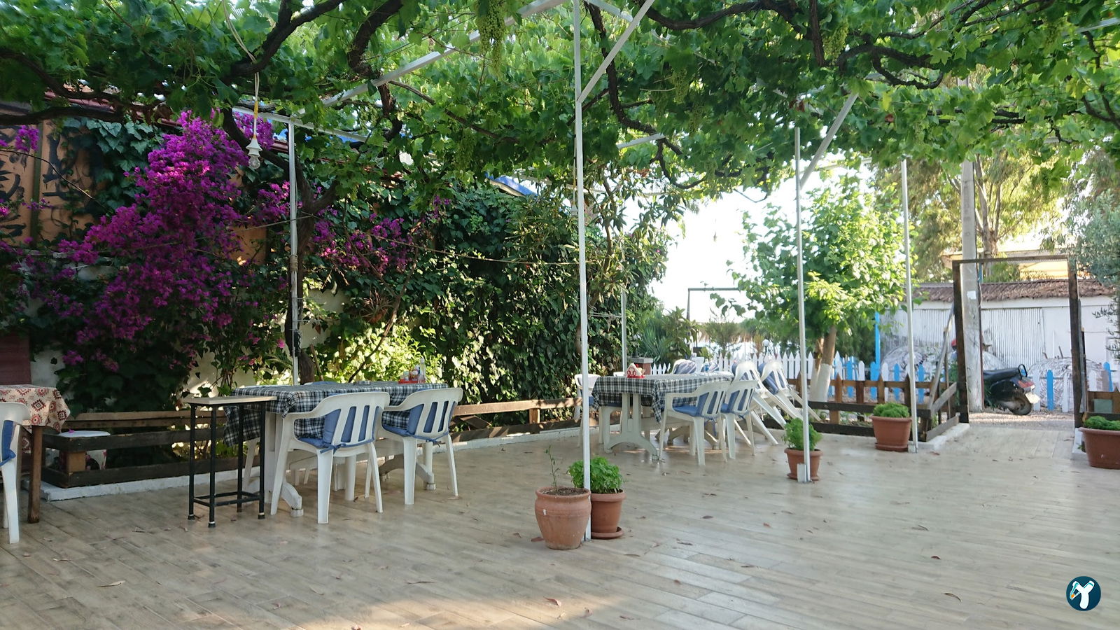 Balikci Metin