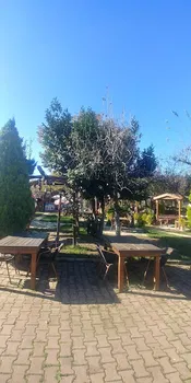 SakinBahçe Cafe&Restaurant resimleri