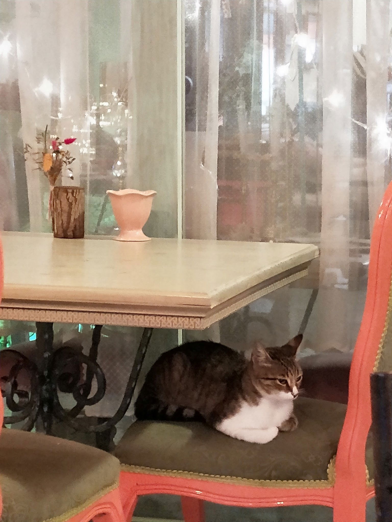 Hatr-I Kahve Bağlarbaşı