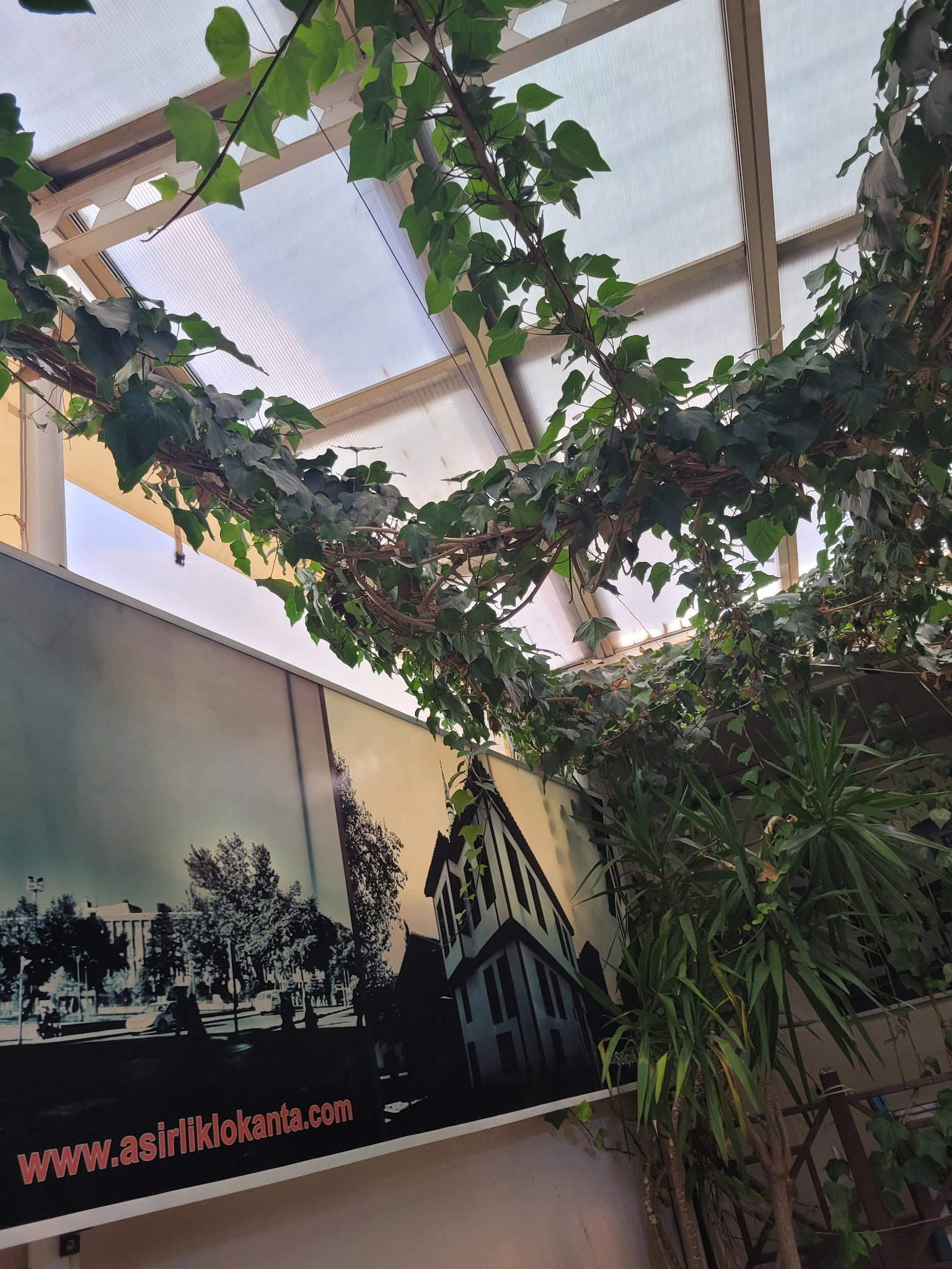 Asırlık İlyas Usta Lokantası