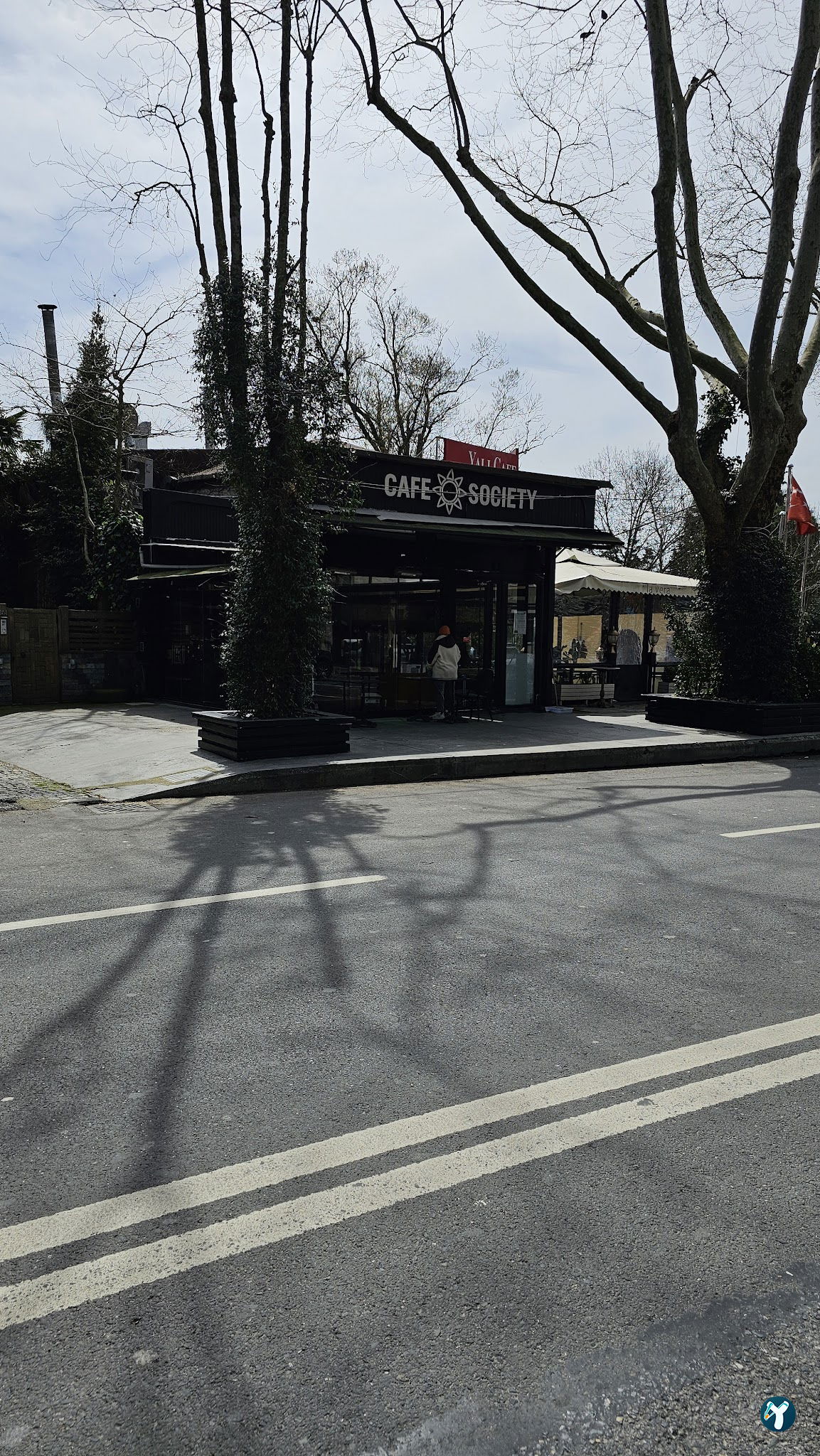 Cafe Society