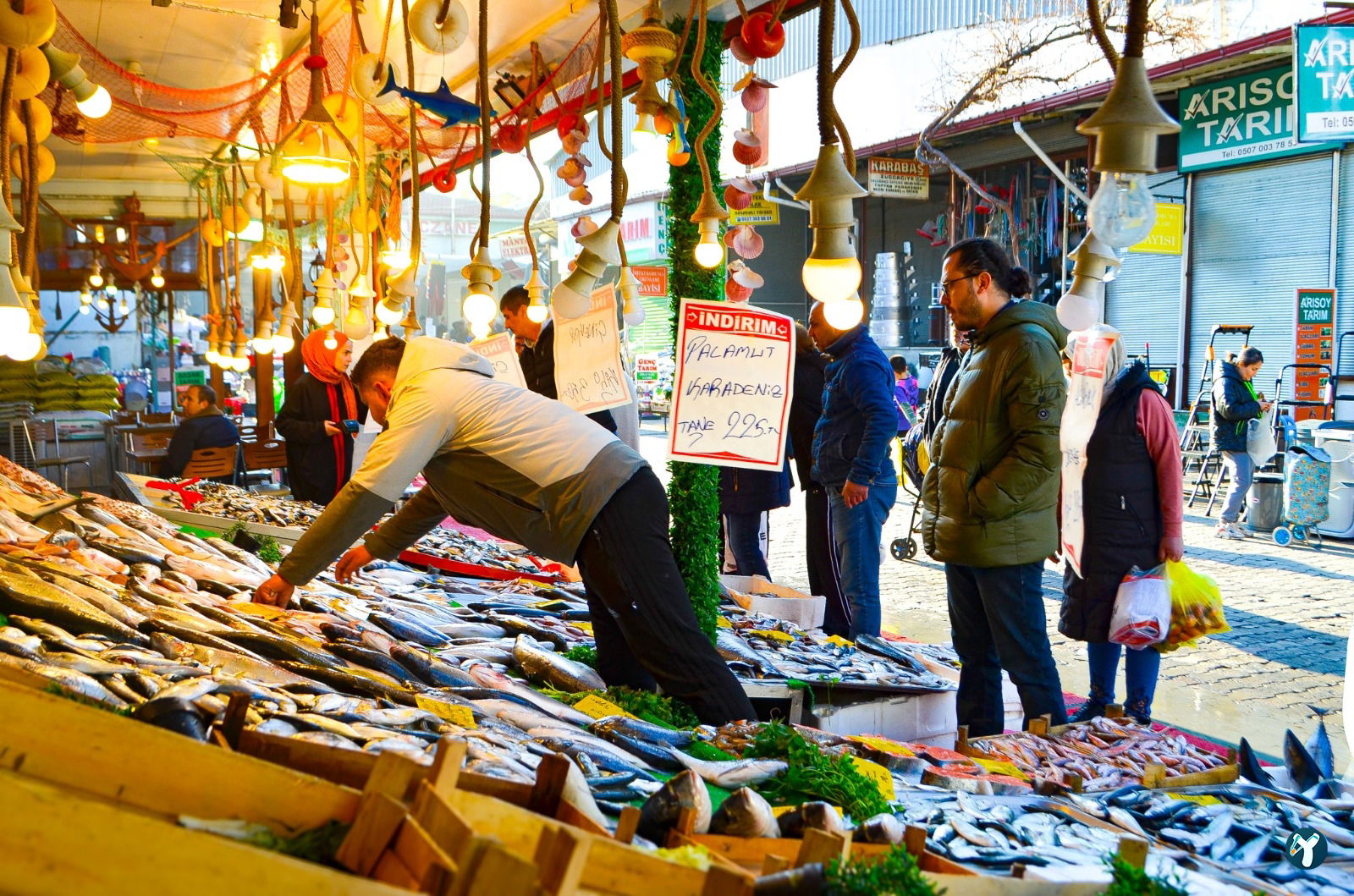 Isparta'Nin En Taze Balikçisi - Kaya Balik