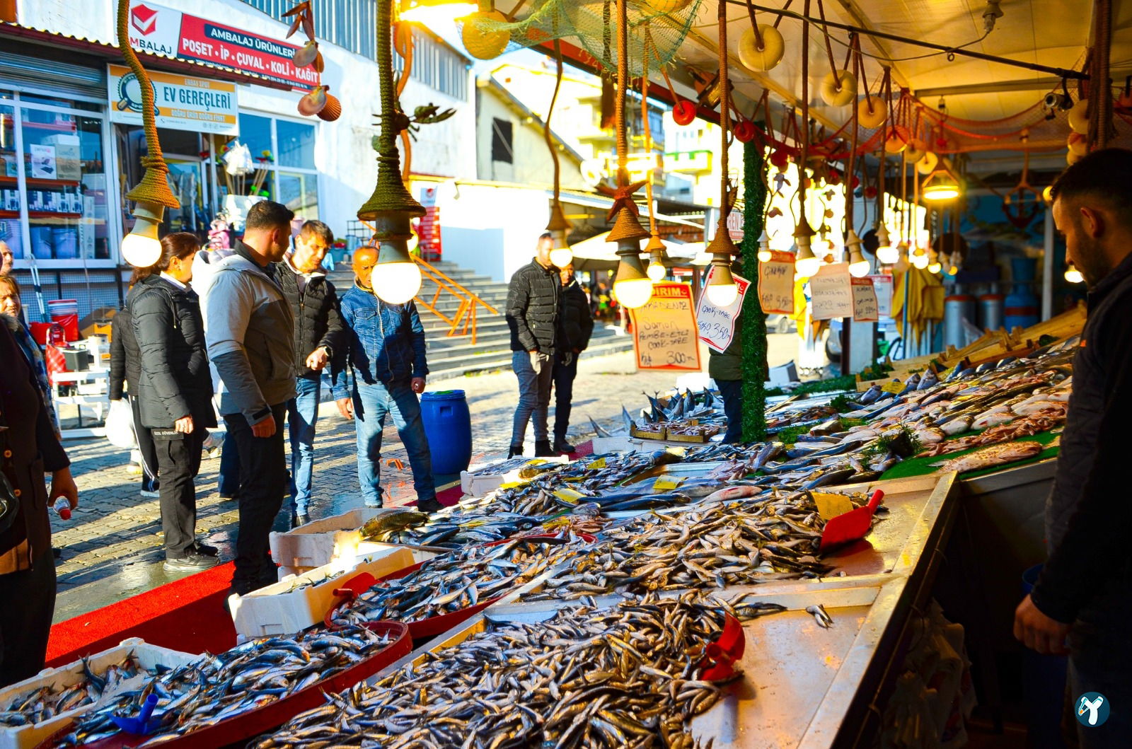 Isparta'Nin En Taze Balikçisi - Kaya Balik