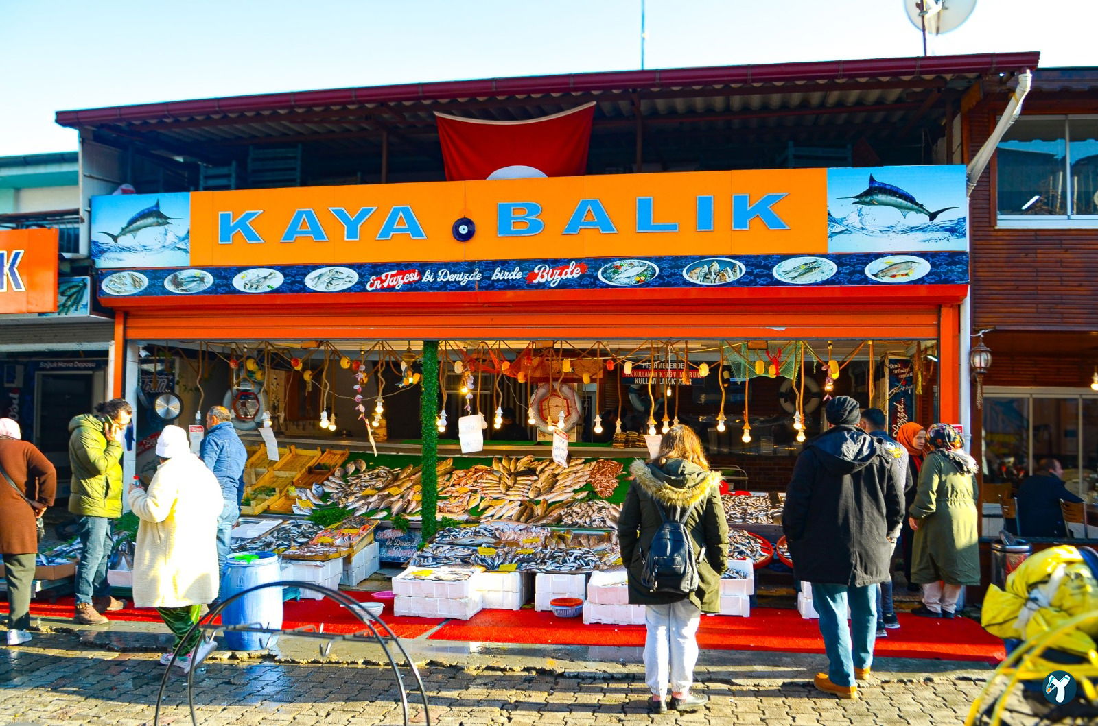 Isparta'Nin En Taze Balikçisi - Kaya Balik