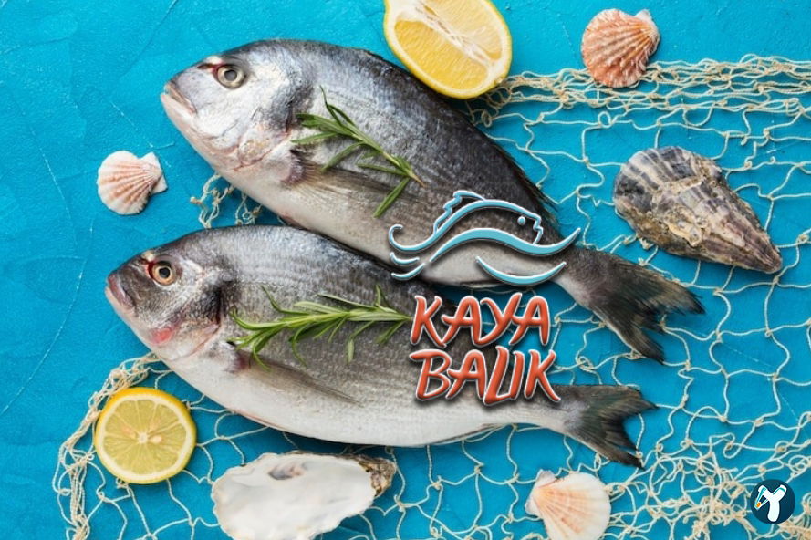 Isparta'Nin En Taze Balikçisi - Kaya Balik