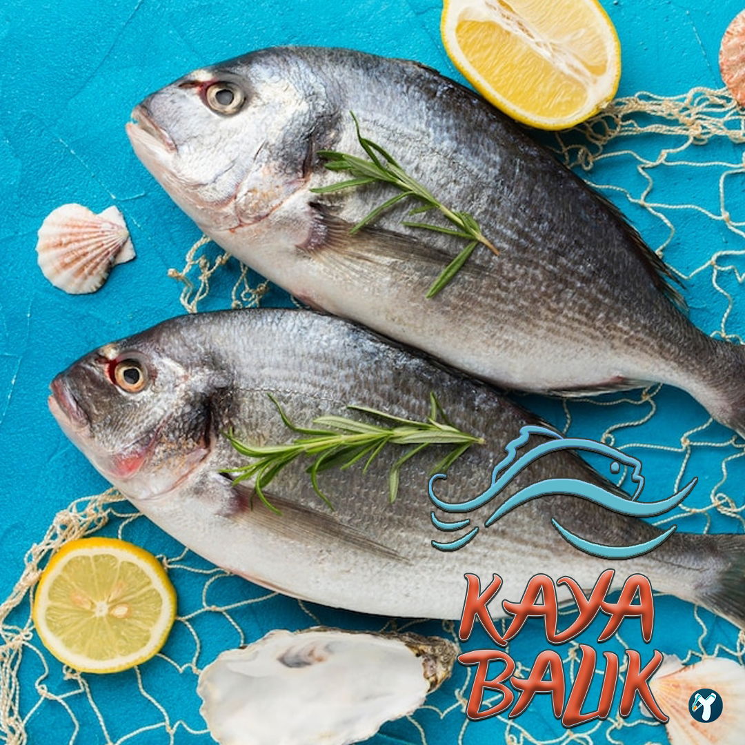 Isparta'Nin En Taze Balikçisi - Kaya Balik