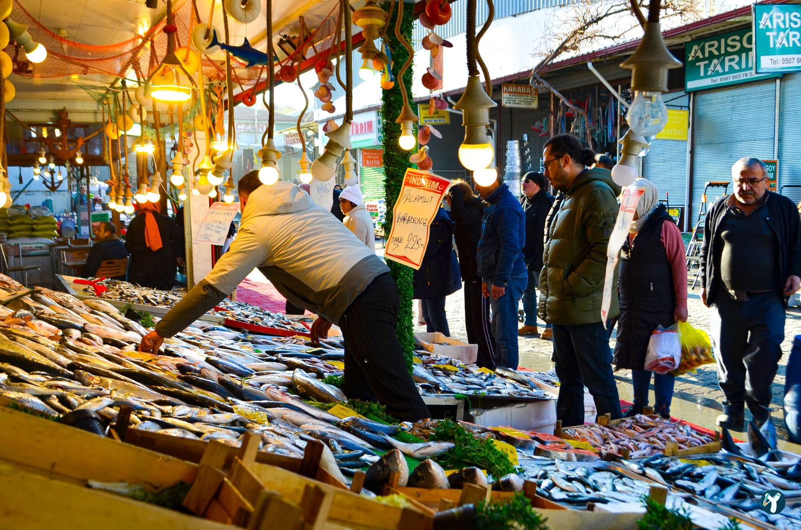 Isparta'Nin En Taze Balikçisi - Kaya Balik