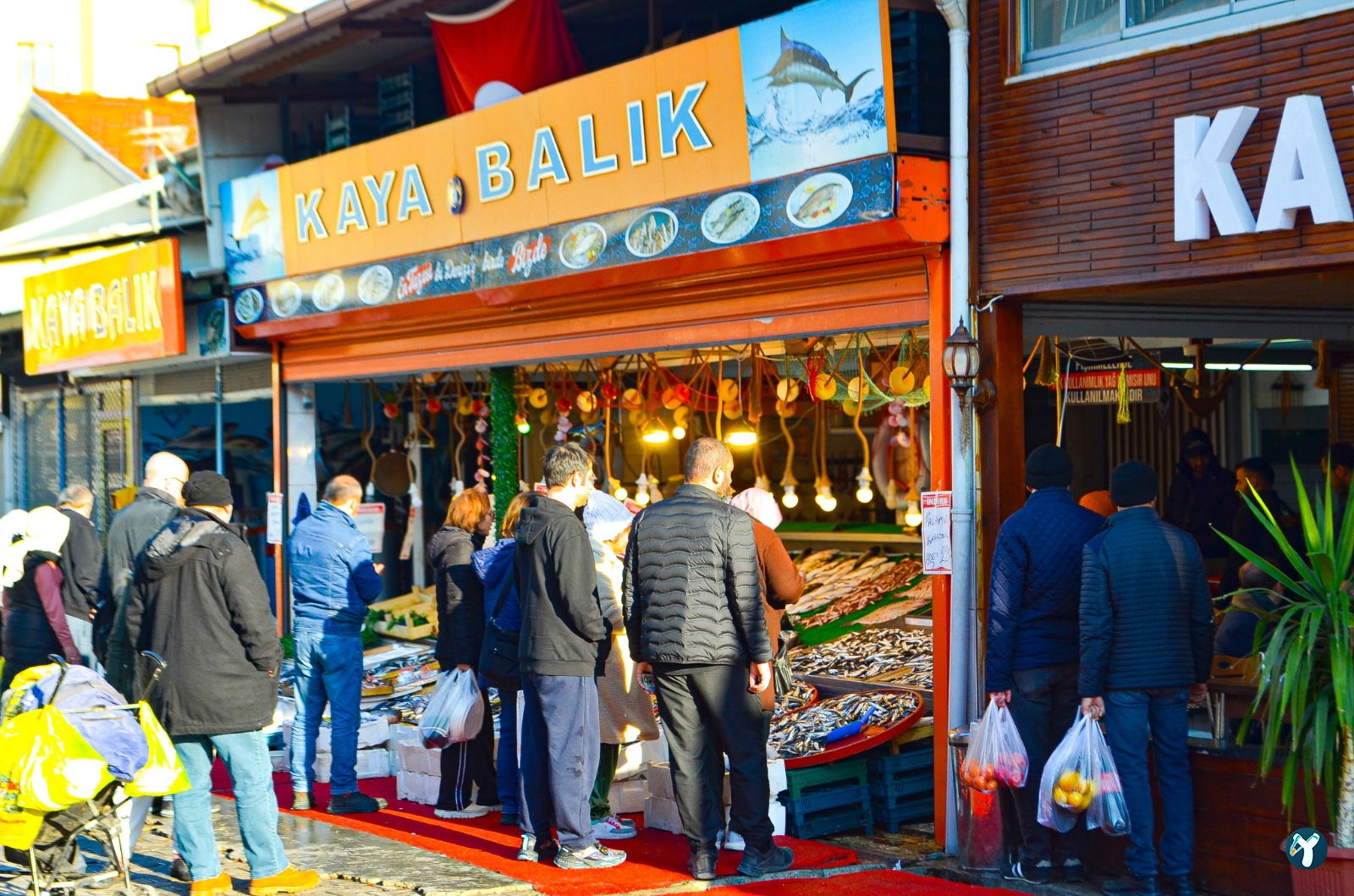 Isparta'Nin En Taze Balikçisi - Kaya Balik