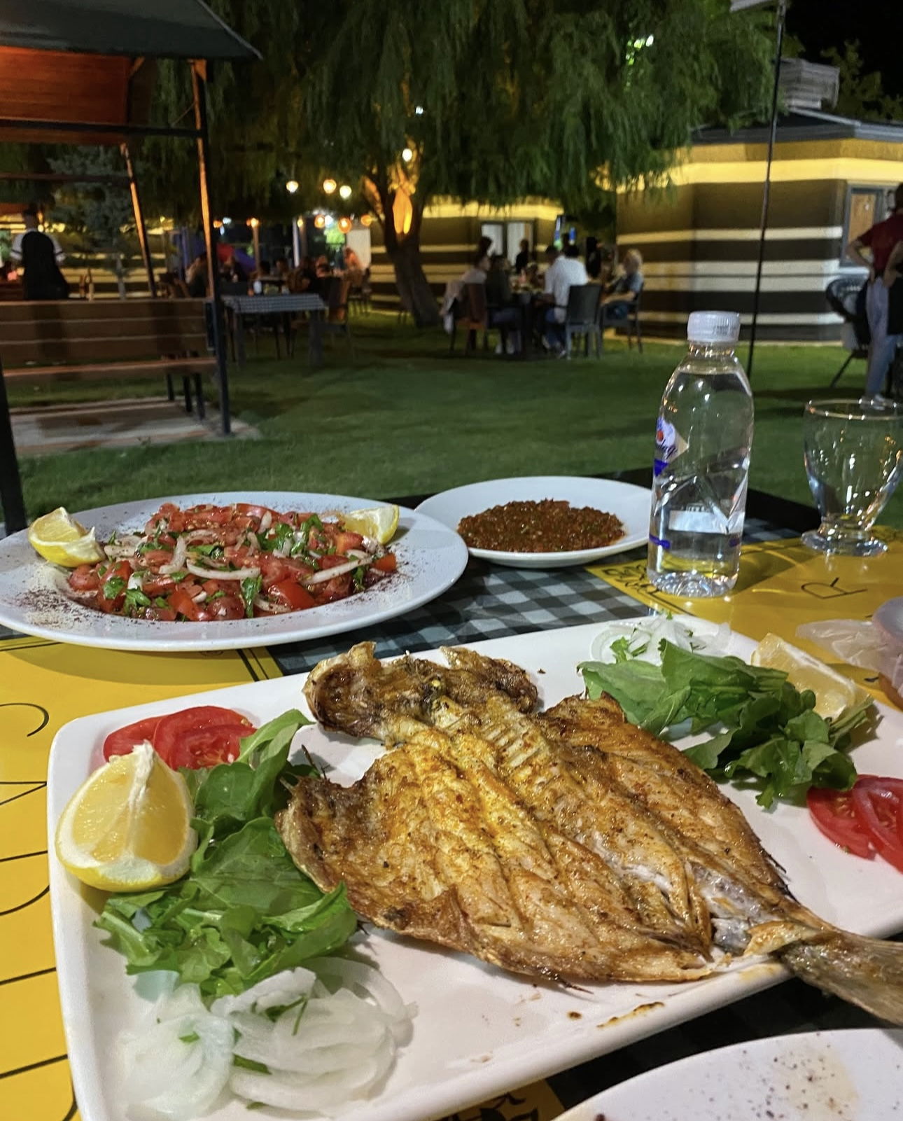 Eskil Çadır Bahçe Aile Balık-Izgara Restaurant