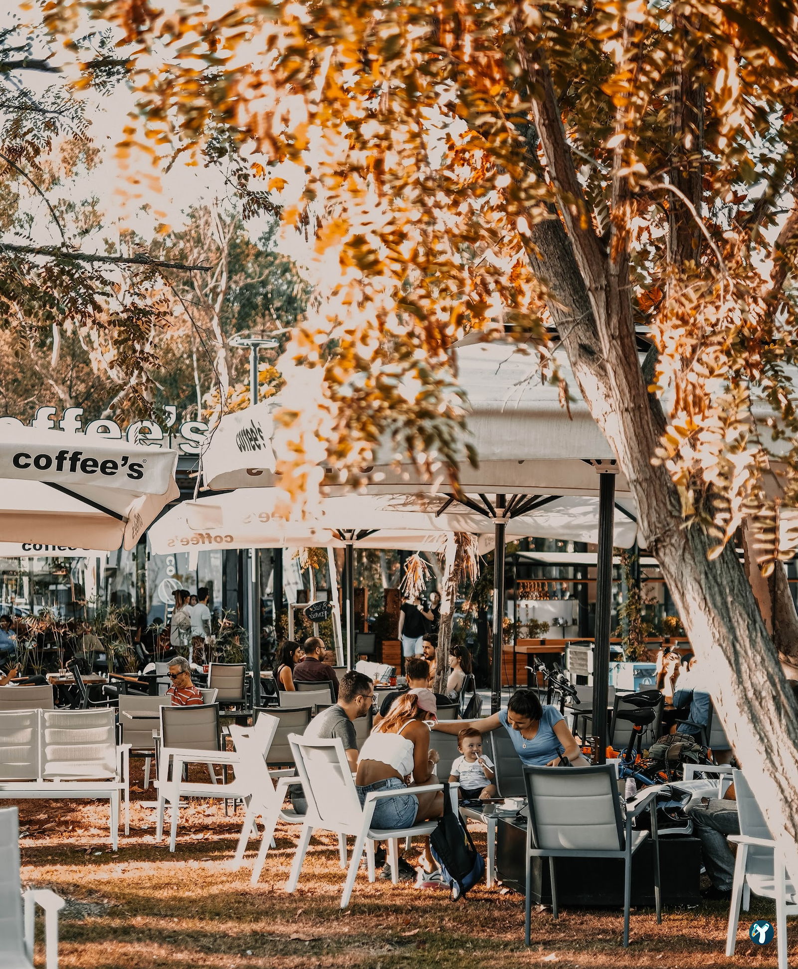 Coffee'S Antalya