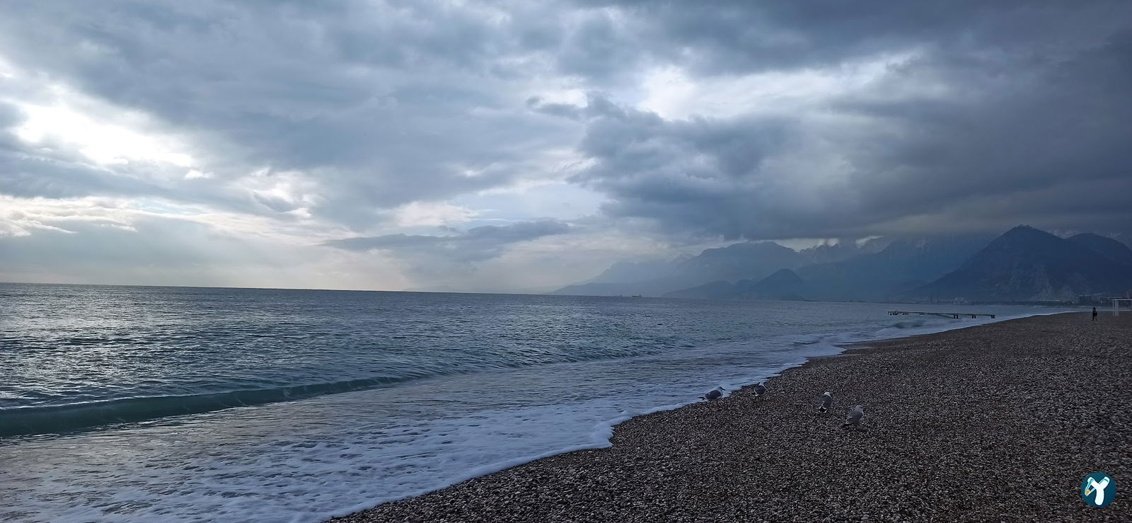 Coffee'S Antalya