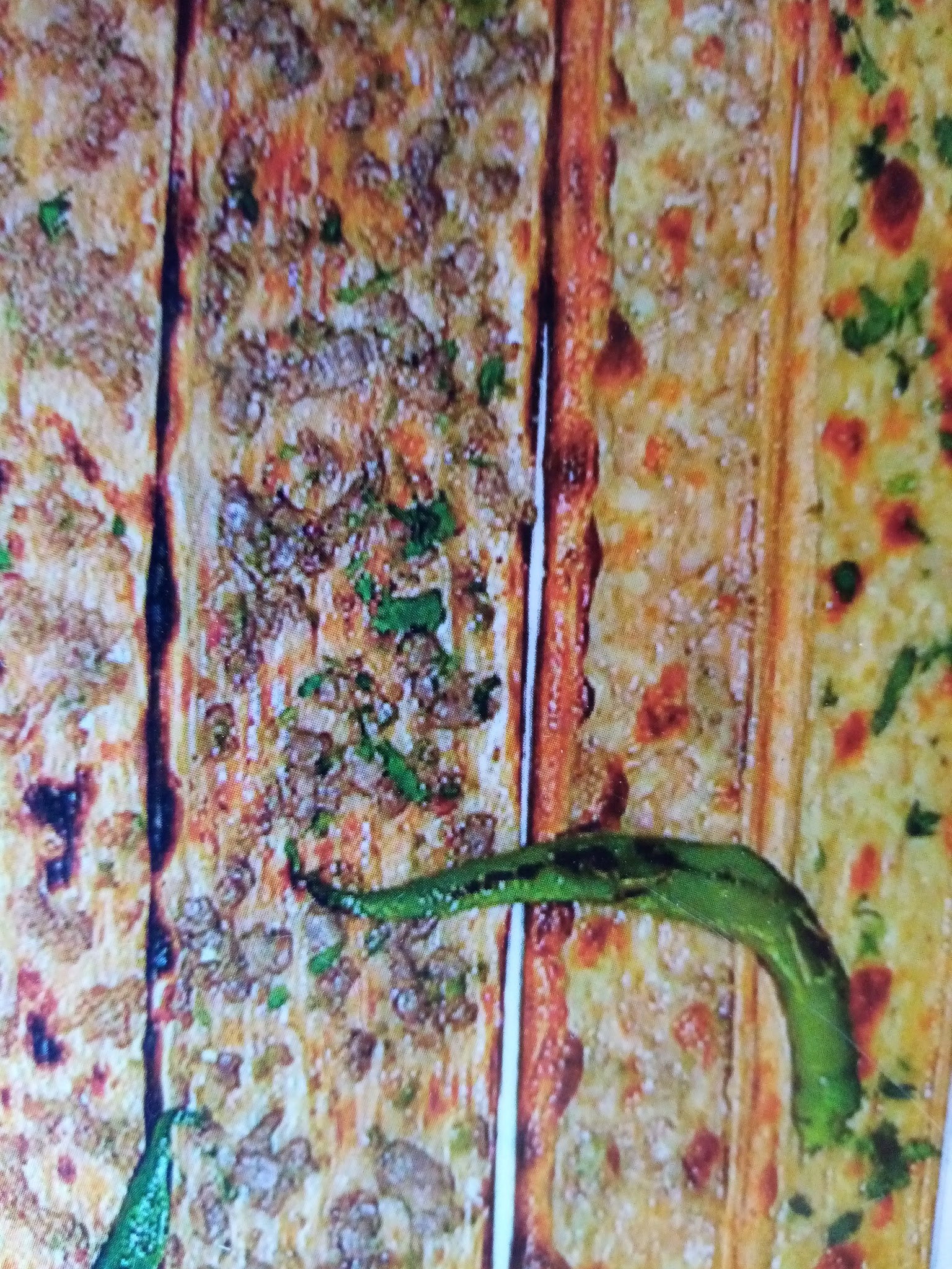 Kazancım Hizmet - Konyalı Etli Ekmek