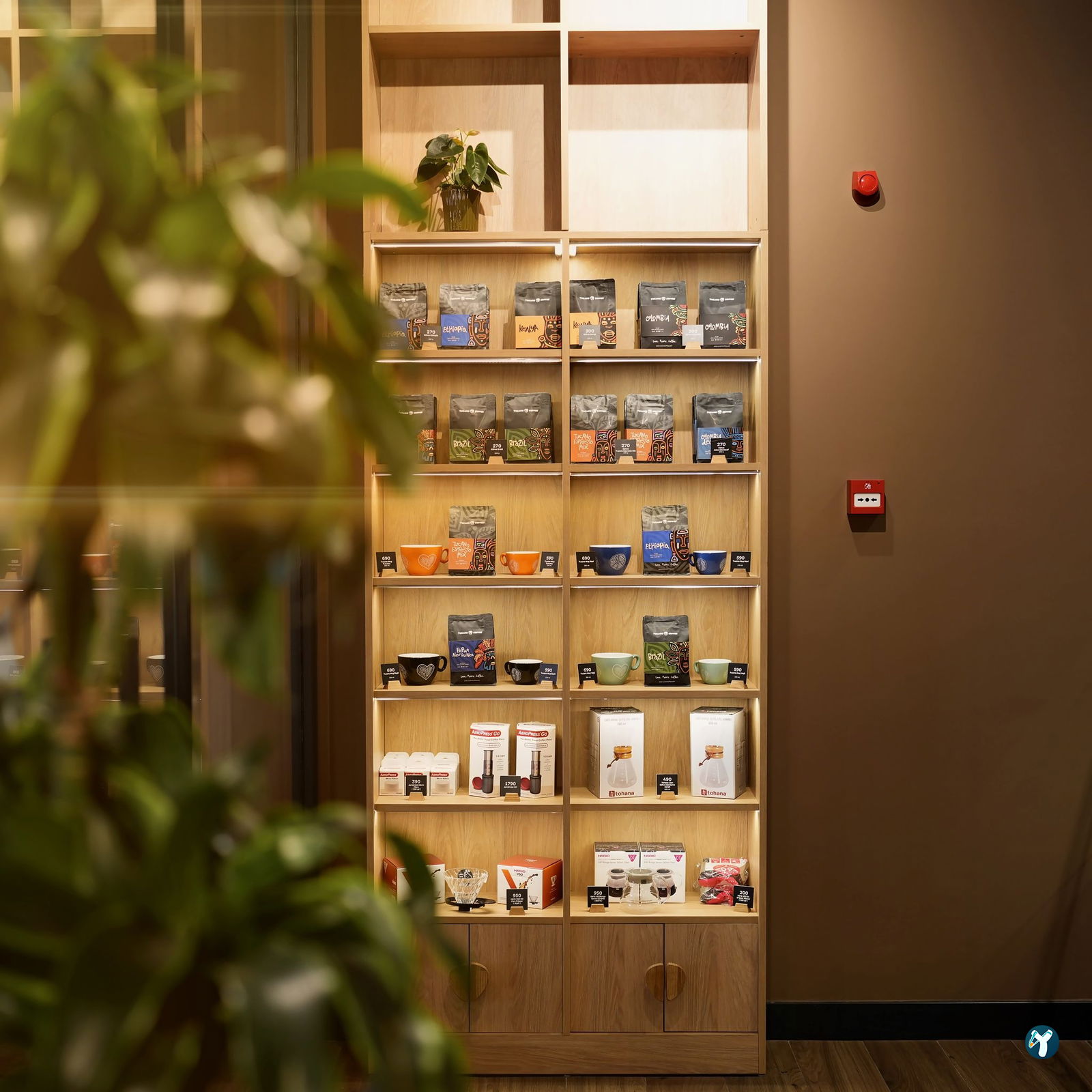 Tucano Coffee İstanbul